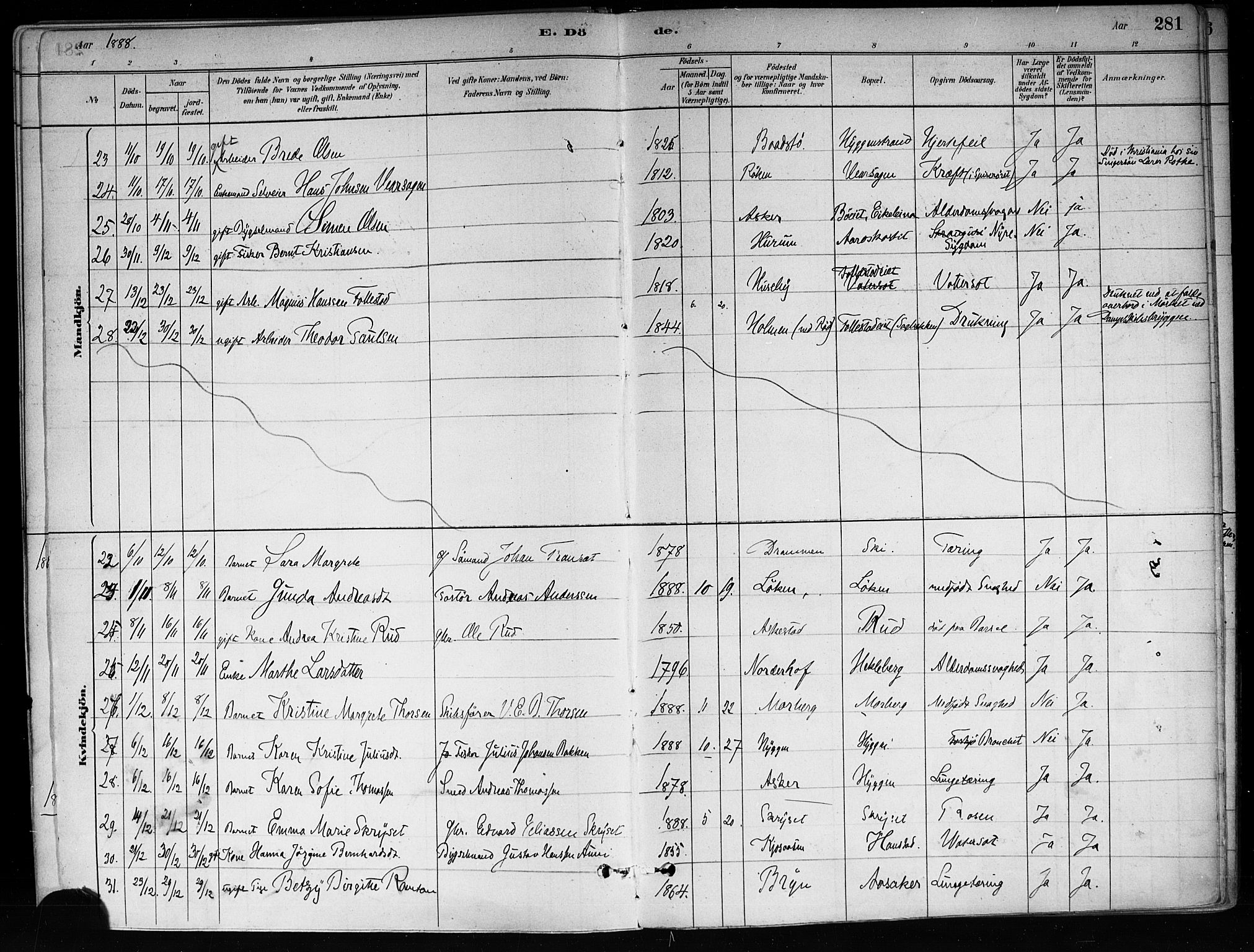 Røyken kirkebøker, AV/SAKO-A-241/F/Fa/L0008: Parish register (official) no. 8, 1880-1897, p. 281