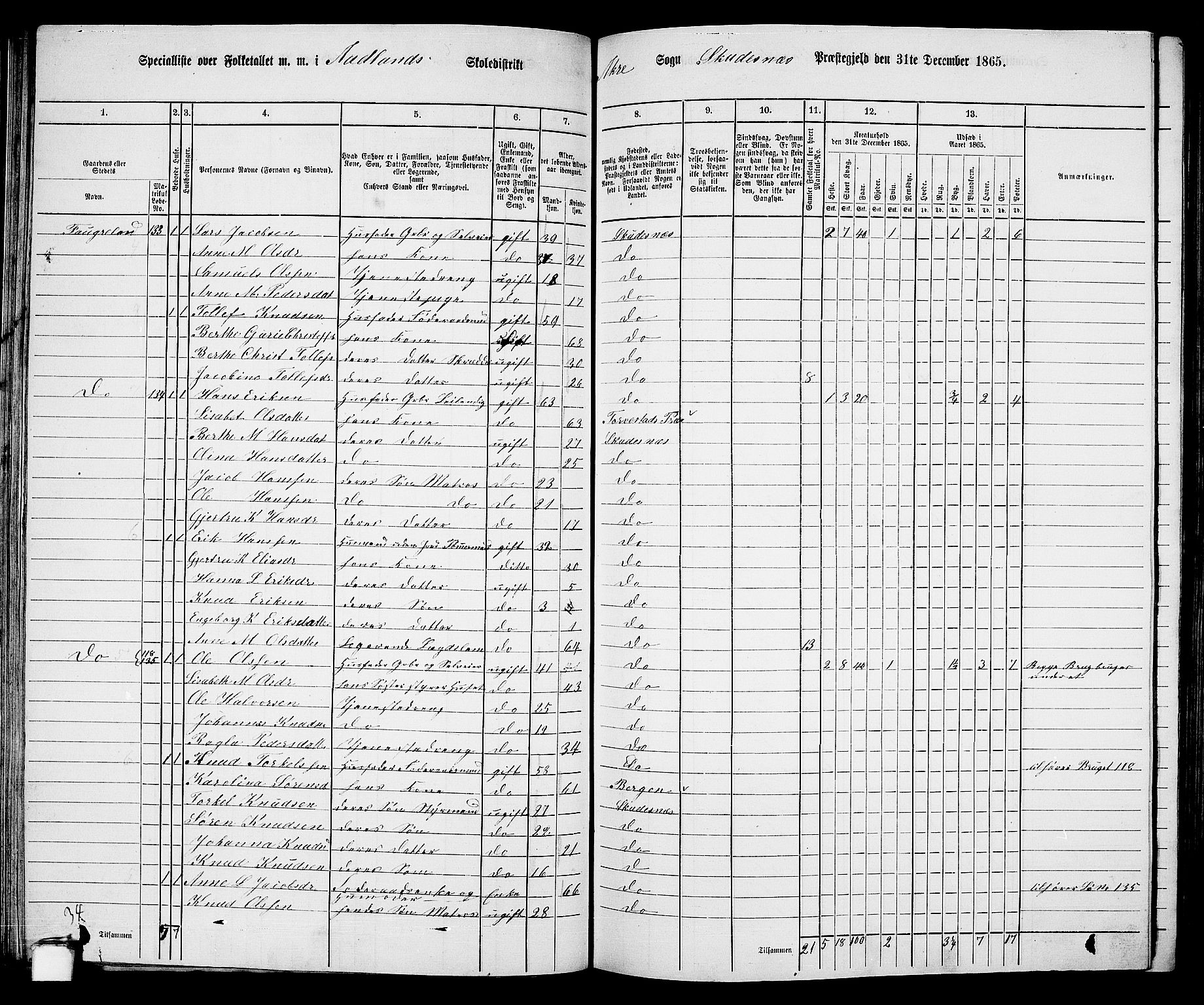 RA, 1865 census for Skudenes, 1865, p. 75