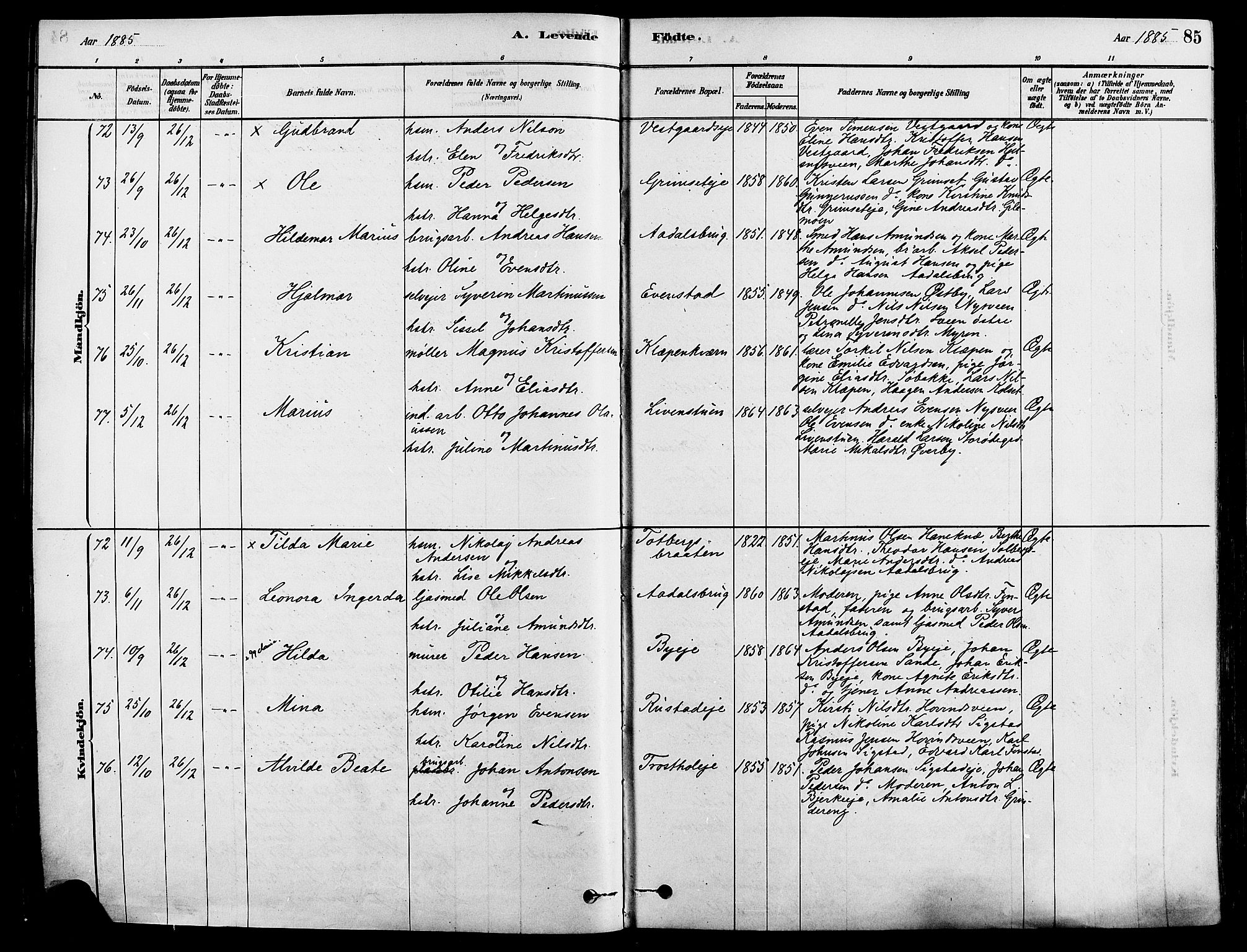 Løten prestekontor, SAH/PREST-022/K/Ka/L0009: Parish register (official) no. 9, 1878-1891, p. 85