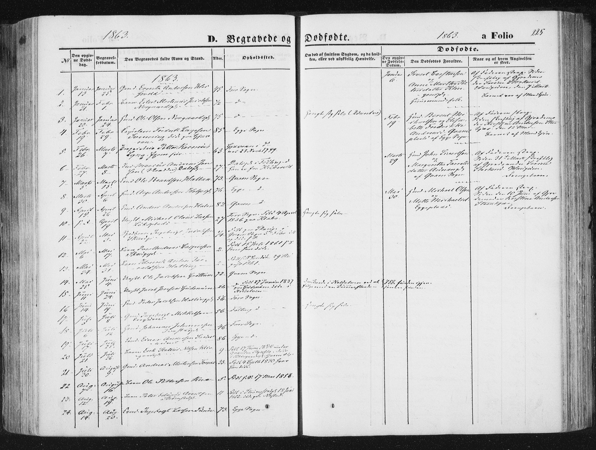 Ministerialprotokoller, klokkerbøker og fødselsregistre - Nord-Trøndelag, SAT/A-1458/746/L0447: Parish register (official) no. 746A06, 1860-1877, p. 225
