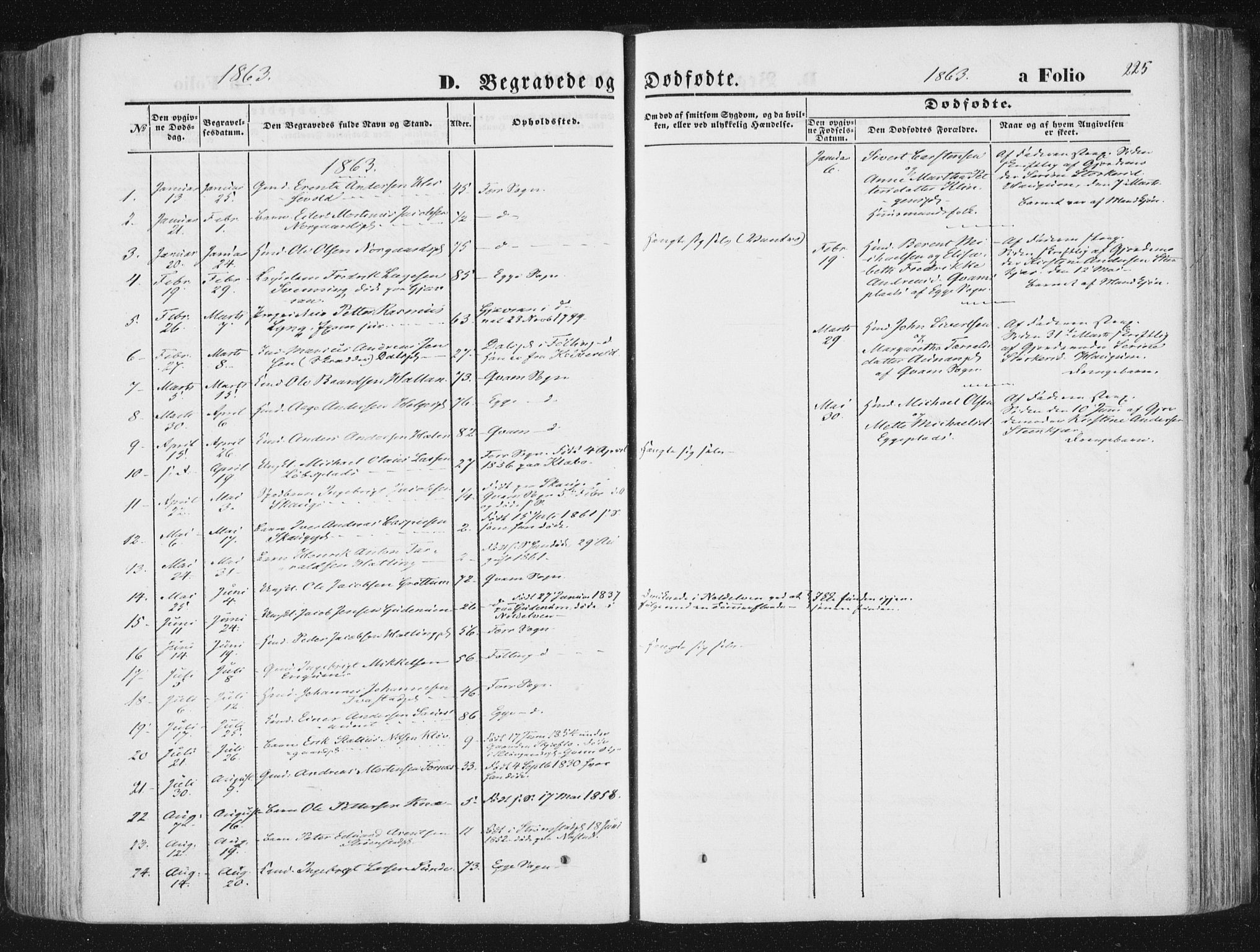 Ministerialprotokoller, klokkerbøker og fødselsregistre - Nord-Trøndelag, AV/SAT-A-1458/746/L0447: Parish register (official) no. 746A06, 1860-1877, p. 225