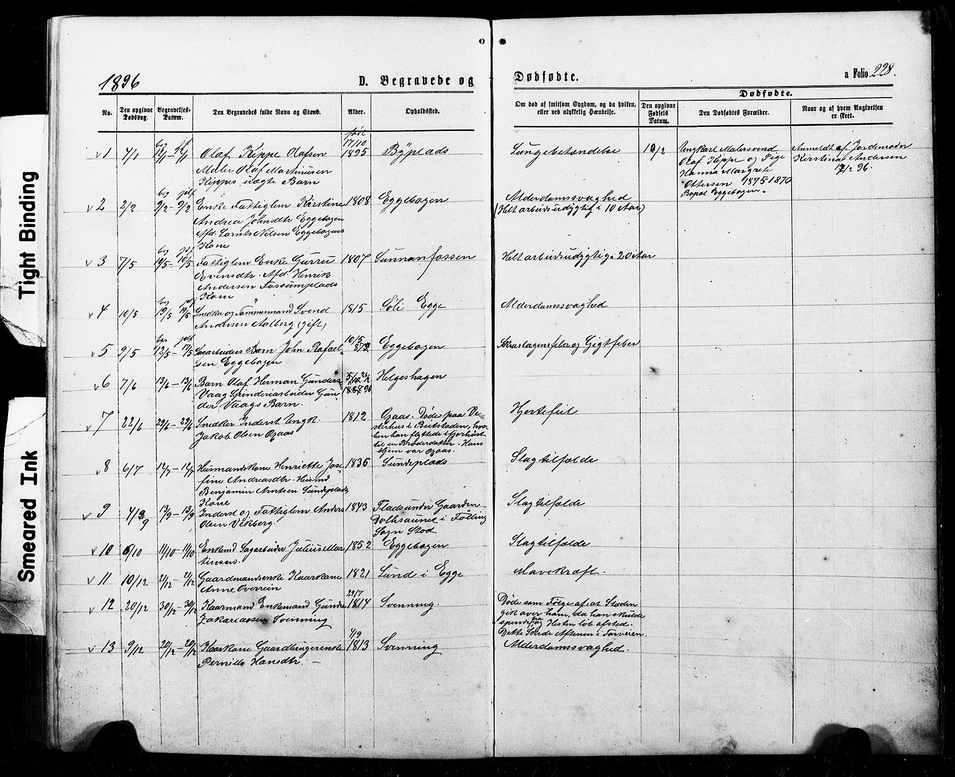 Ministerialprotokoller, klokkerbøker og fødselsregistre - Nord-Trøndelag, SAT/A-1458/740/L0380: Parish register (copy) no. 740C01, 1868-1902, p. 228