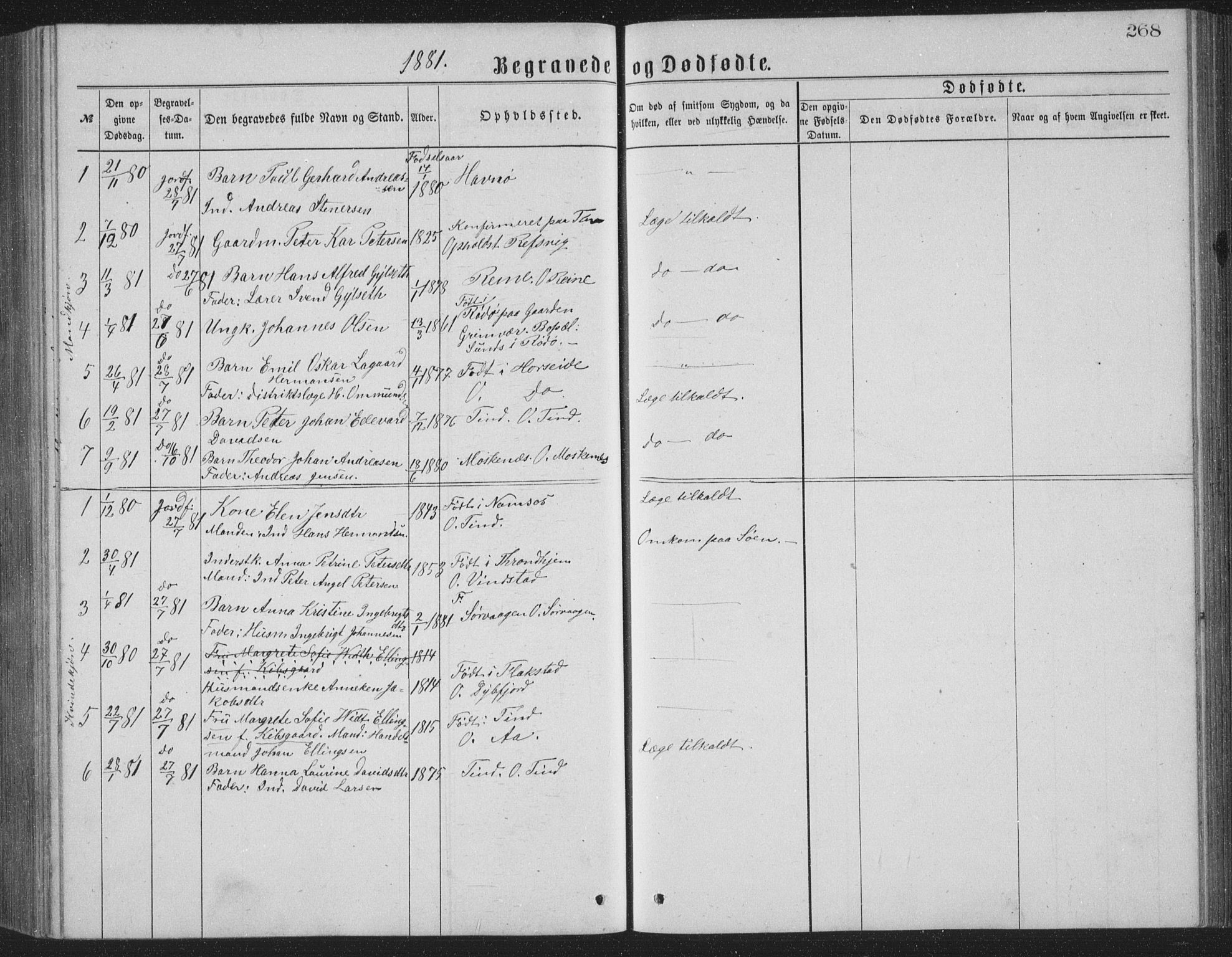 Ministerialprotokoller, klokkerbøker og fødselsregistre - Nordland, SAT/A-1459/886/L1225: Parish register (copy) no. 886C02, 1874-1896, p. 268