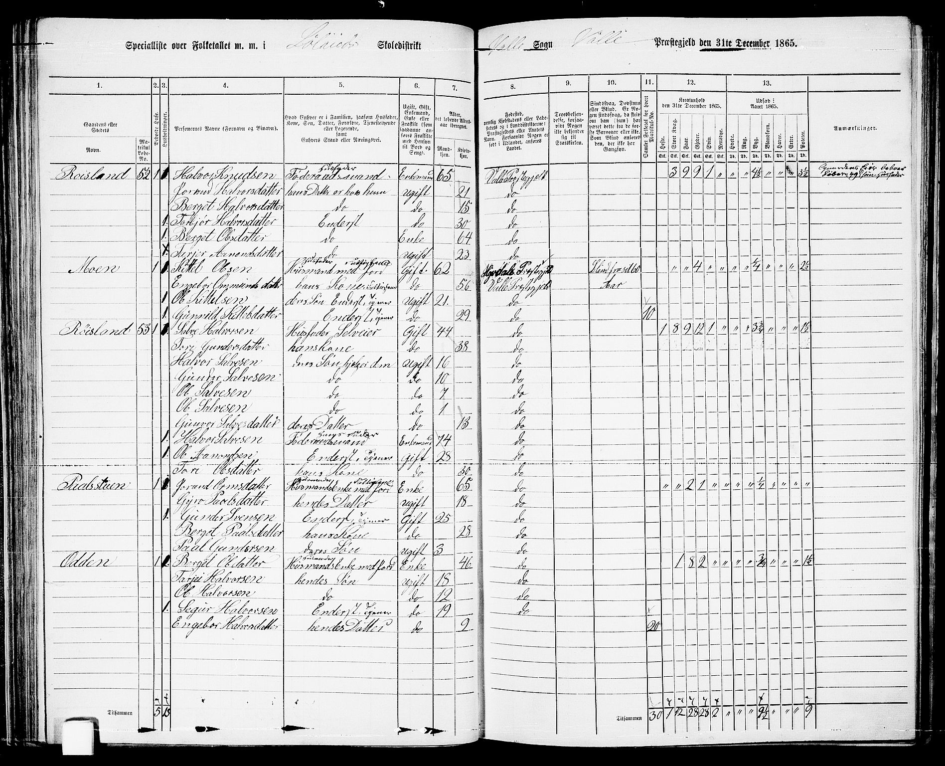 RA, 1865 census for Valle, 1865, p. 68