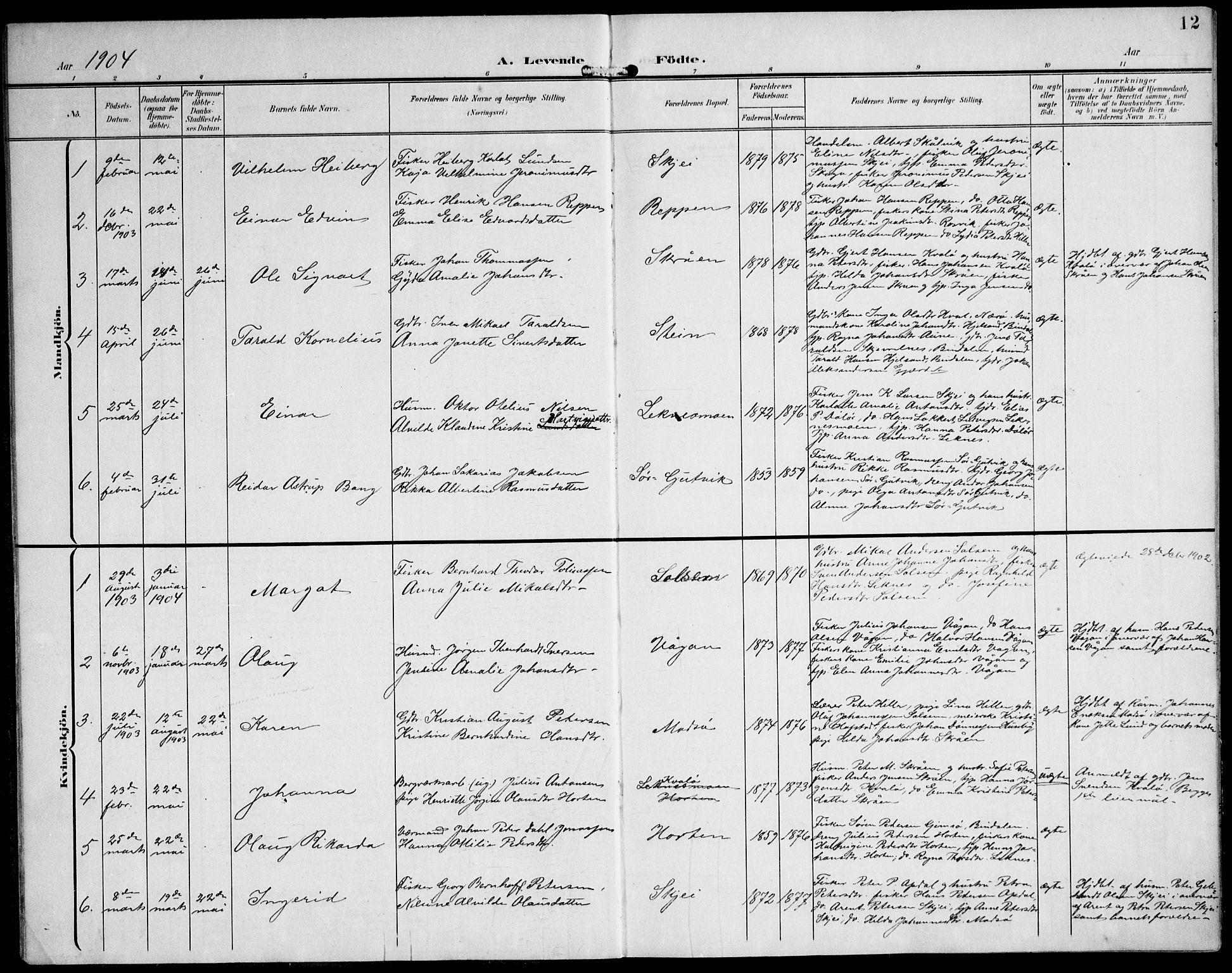 Ministerialprotokoller, klokkerbøker og fødselsregistre - Nord-Trøndelag, SAT/A-1458/788/L0698: Parish register (official) no. 788A05, 1902-1921, p. 12