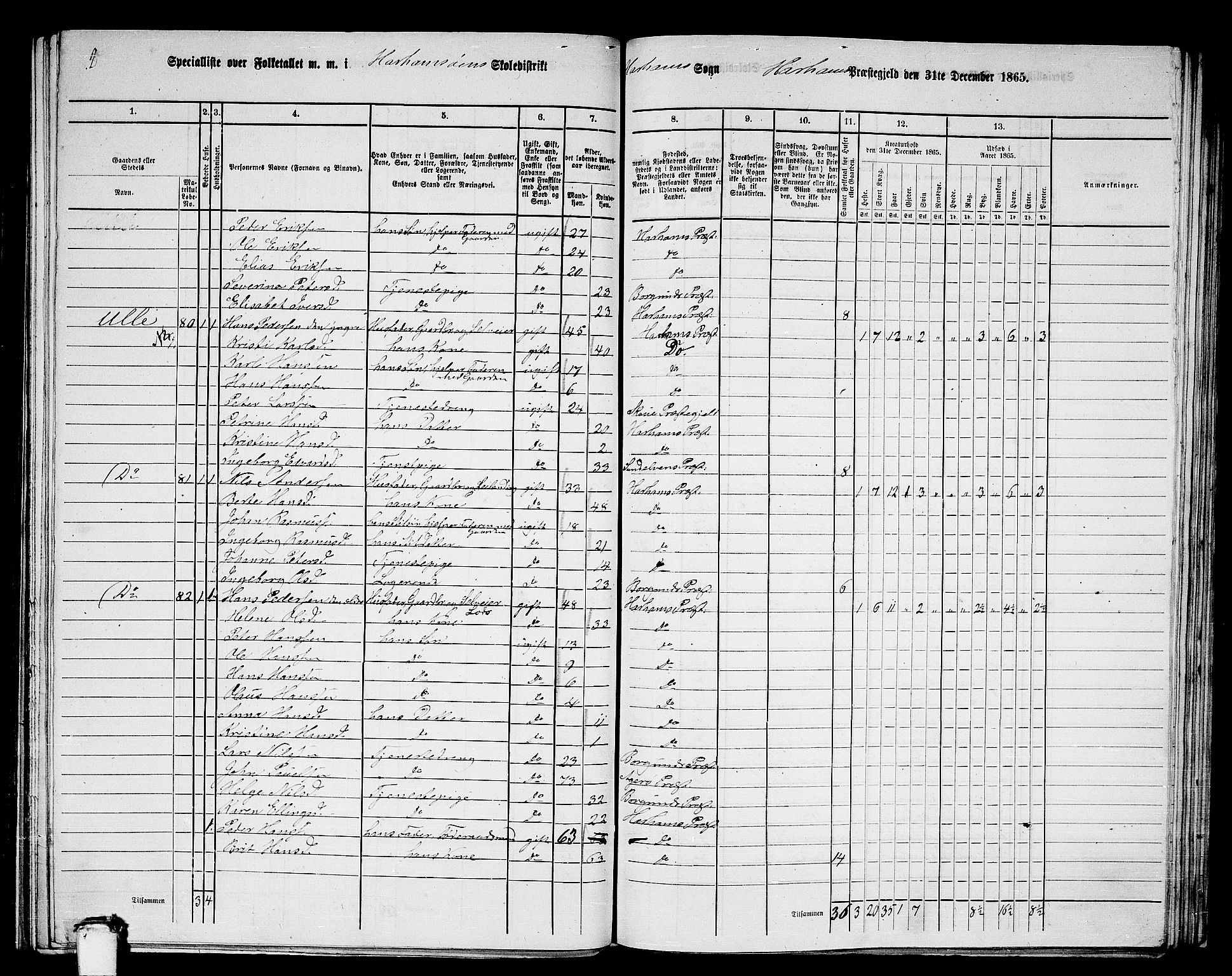 RA, 1865 census for Haram, 1865, p. 41