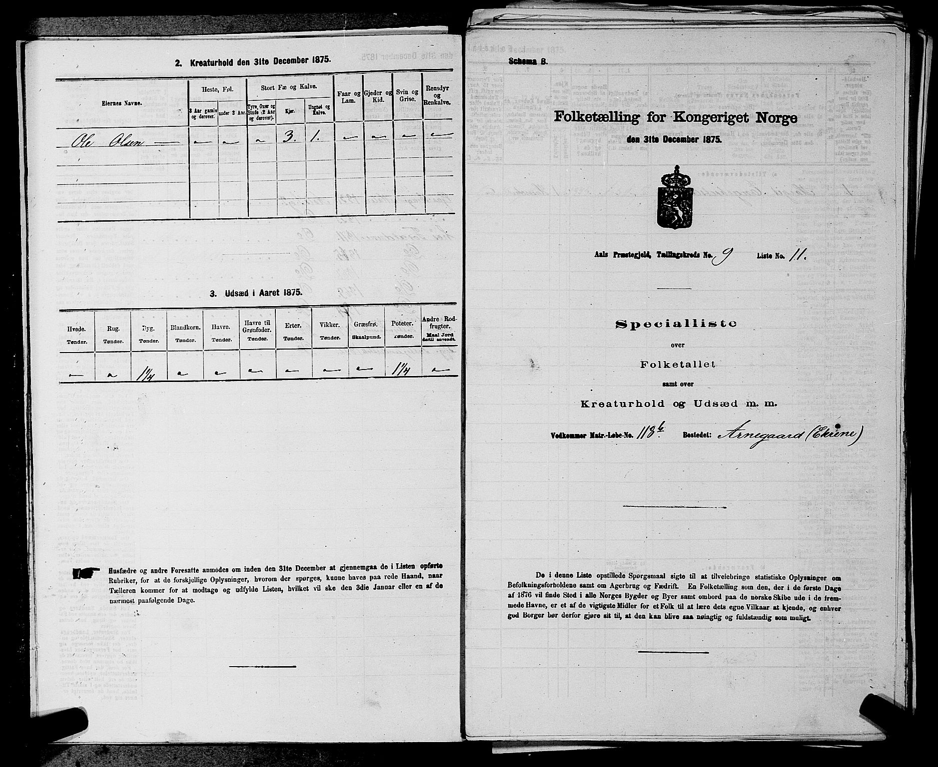SAKO, 1875 census for 0619P Ål, 1875, p. 1113