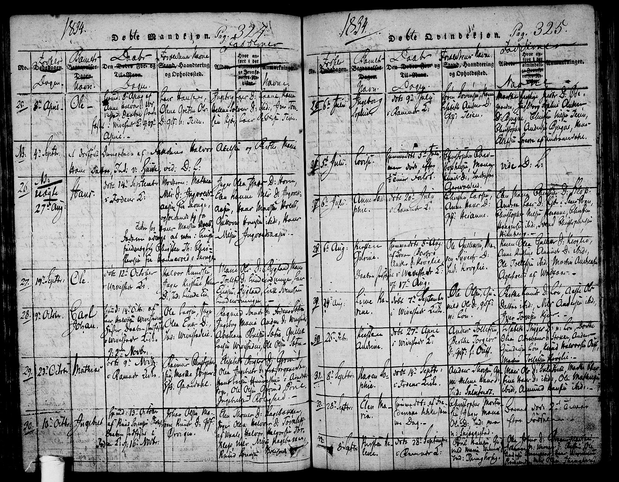 Ramnes kirkebøker, AV/SAKO-A-314/F/Fa/L0004: Parish register (official) no. I 4, 1813-1840, p. 324-325