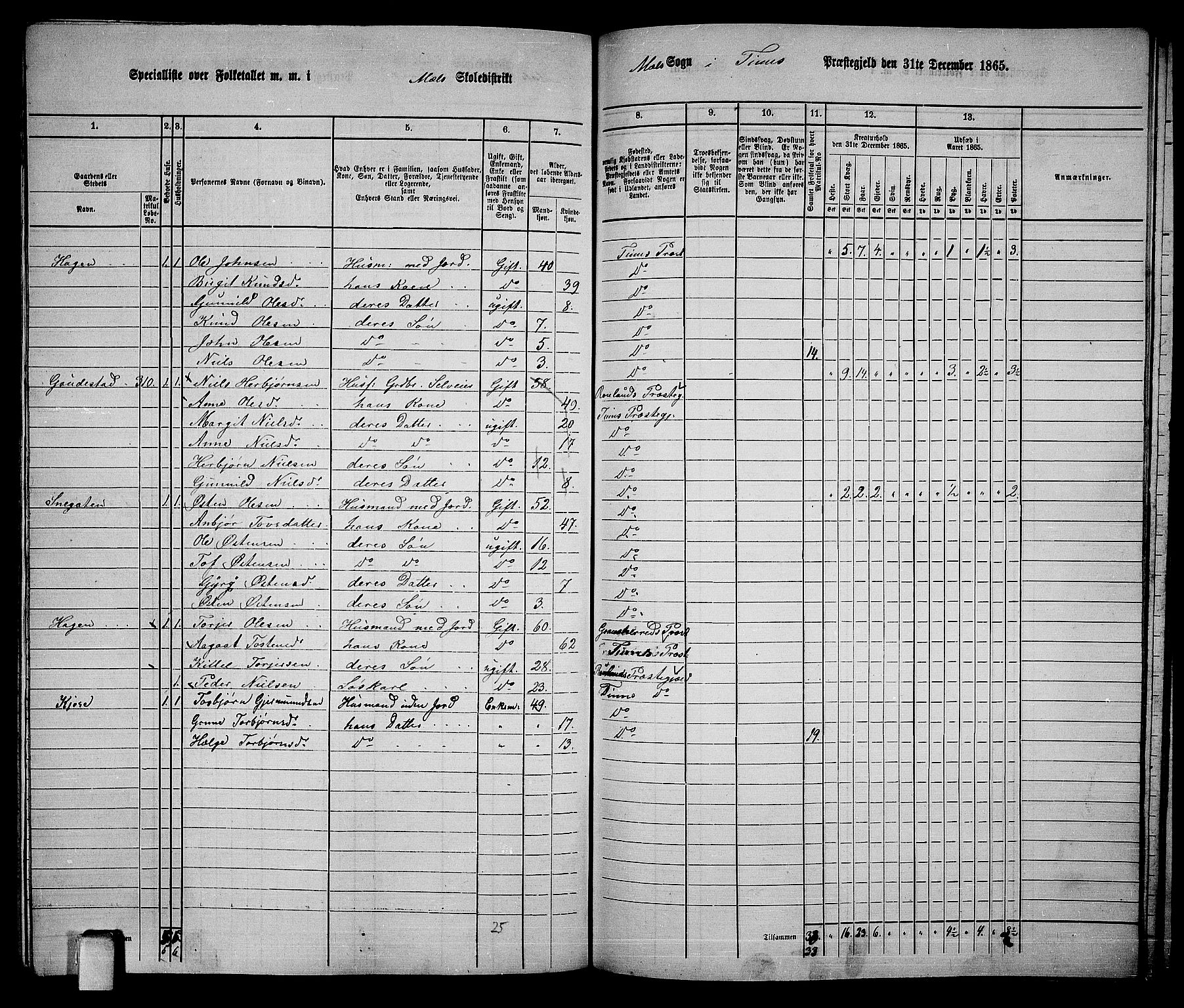 RA, 1865 census for Tinn, 1865, p. 98