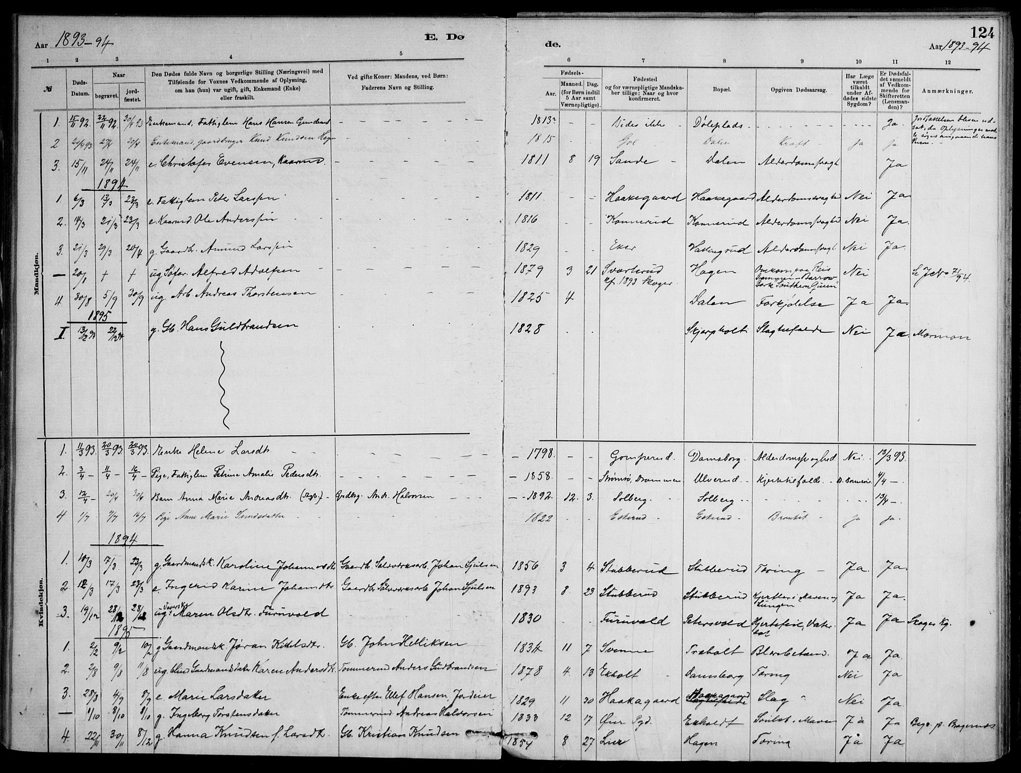 Skoger kirkebøker, AV/SAKO-A-59/F/Fb/L0001: Parish register (official) no. II 1, 1885-1913, p. 124