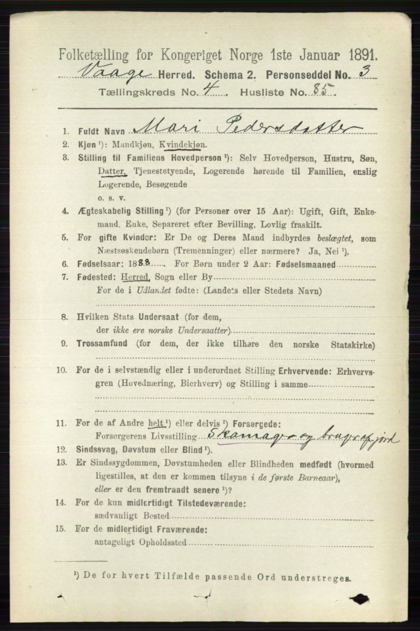 RA, 1891 census for 0515 Vågå, 1891, p. 3257