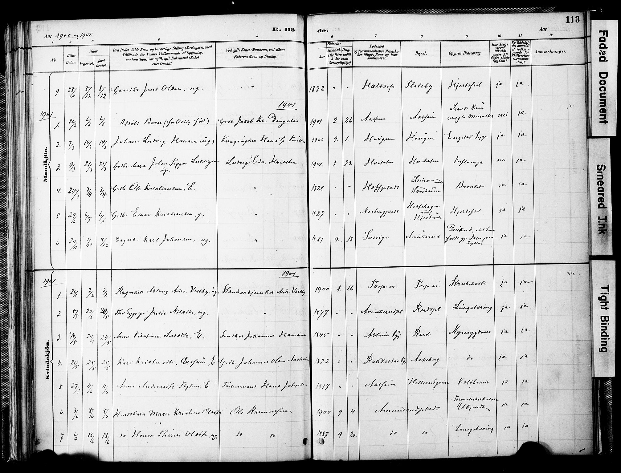Spydeberg prestekontor Kirkebøker, SAO/A-10924/F/Fb/L0001: Parish register (official) no. II 1, 1886-1907, p. 113