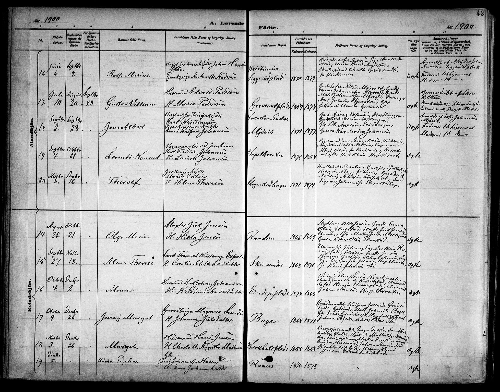Kråkstad prestekontor Kirkebøker, SAO/A-10125a/F/Fb/L0002: Parish register (official) no. II 2, 1893-1917, p. 43