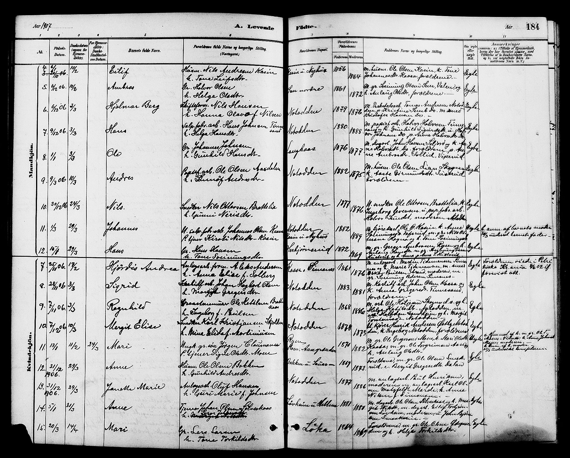 Heddal kirkebøker, SAKO/A-268/G/Ga/L0002: Parish register (copy) no. I 2, 1879-1908, p. 184