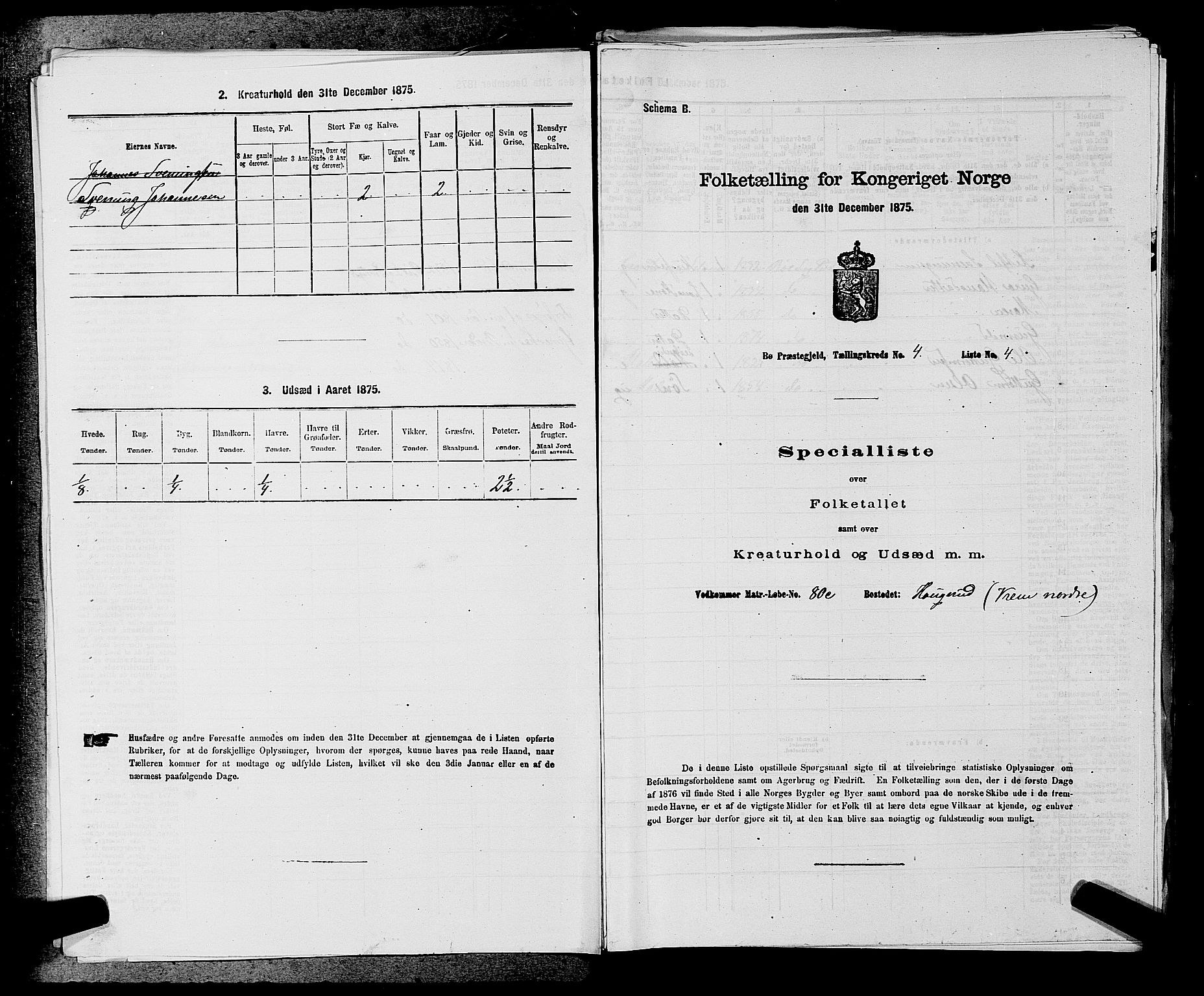 SAKO, 1875 census for 0821P Bø, 1875, p. 433