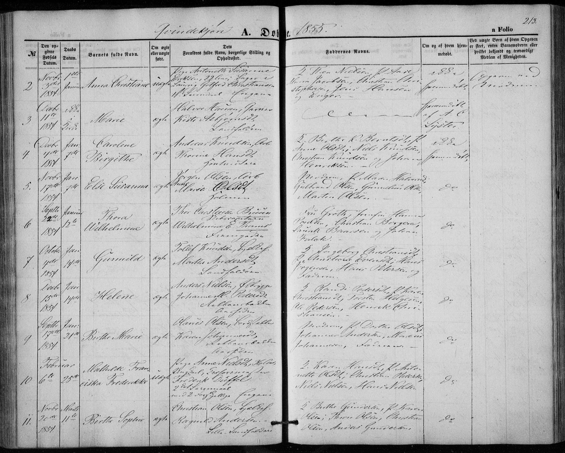 Bragernes kirkebøker, AV/SAKO-A-6/F/Fb/L0002: Parish register (official) no. II 2, 1848-1859, p. 213