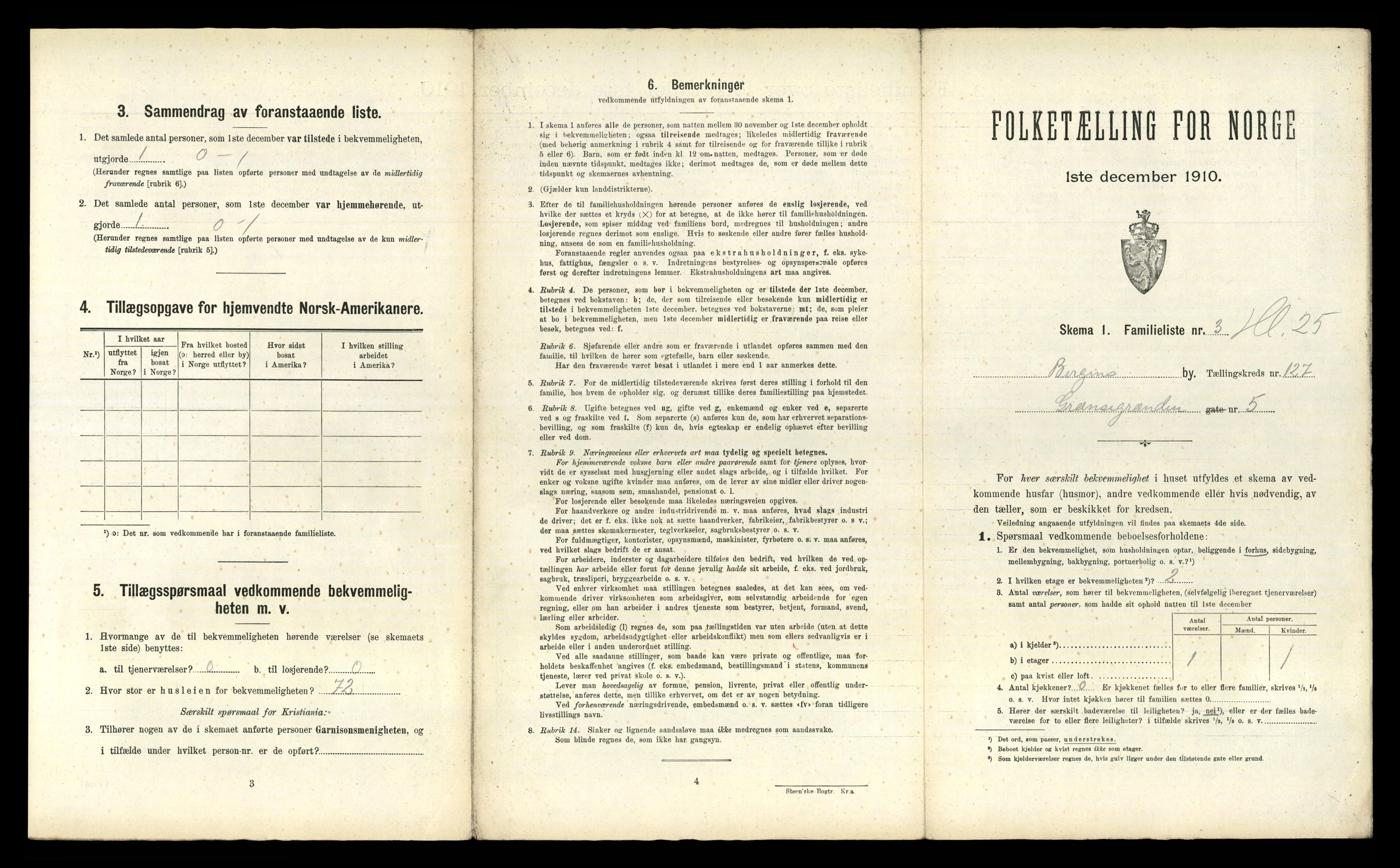 RA, 1910 census for Bergen, 1910, p. 44317