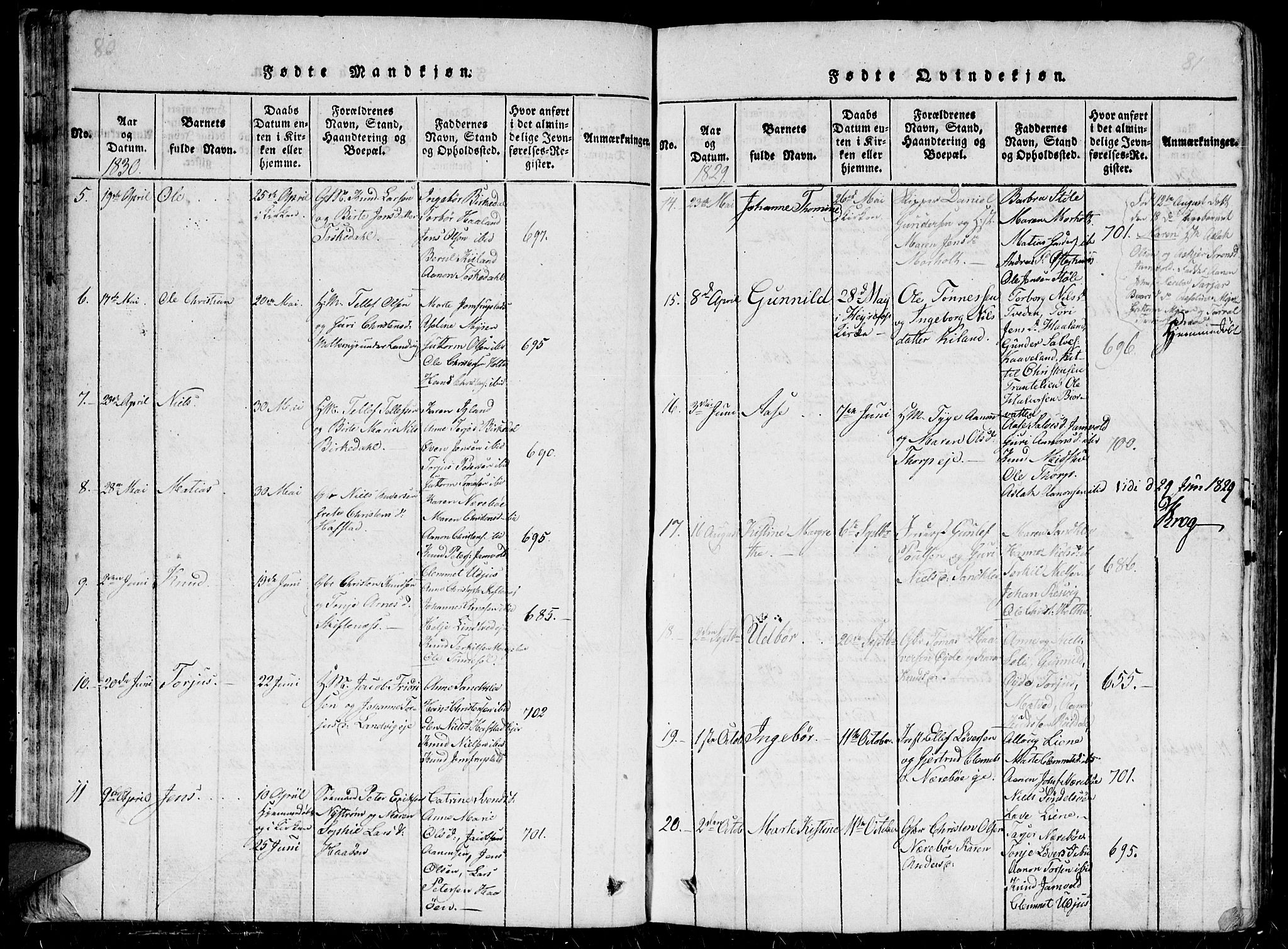 Hommedal sokneprestkontor, AV/SAK-1111-0023/F/Fb/Fbb/L0003: Parish register (copy) no. B 3 /1, 1816-1850, p. 80-81