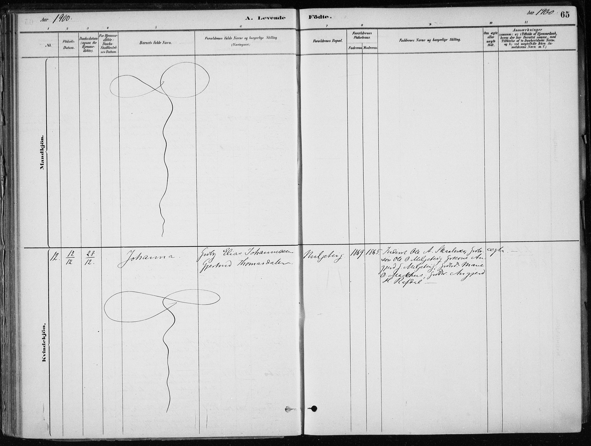 Skånevik sokneprestembete, AV/SAB-A-77801/H/Haa: Parish register (official) no. E  1, 1879-1901, p. 65