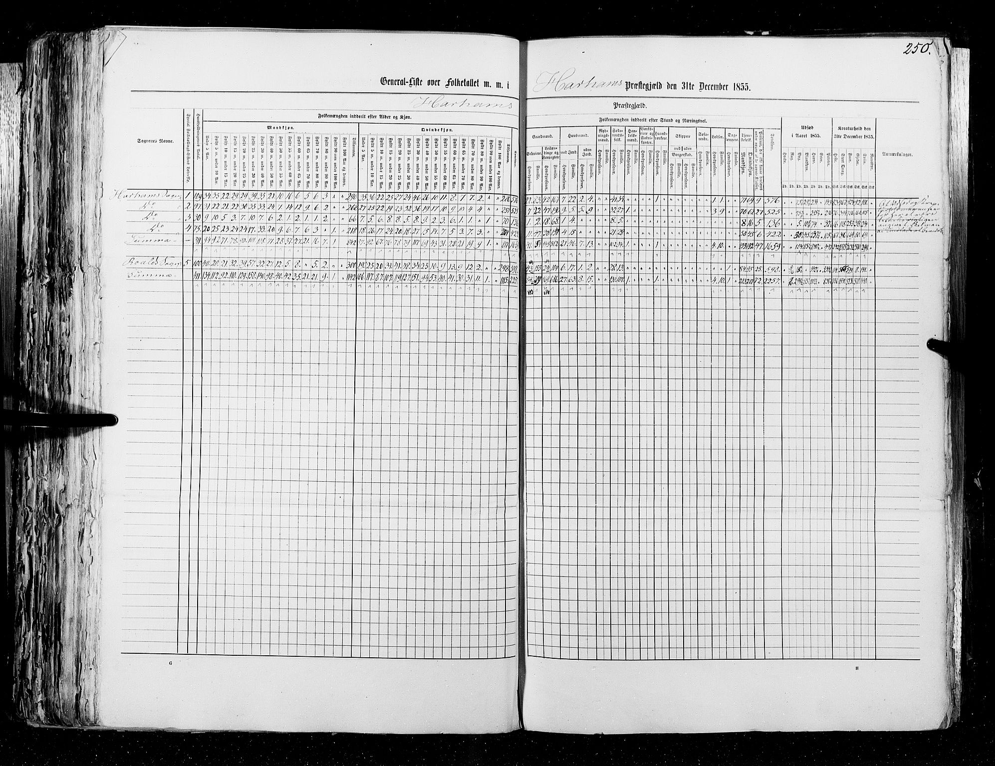 RA, Census 1855, vol. 5: Nordre Bergenhus amt, Romsdal amt og Søndre Trondhjem amt, 1855, p. 250