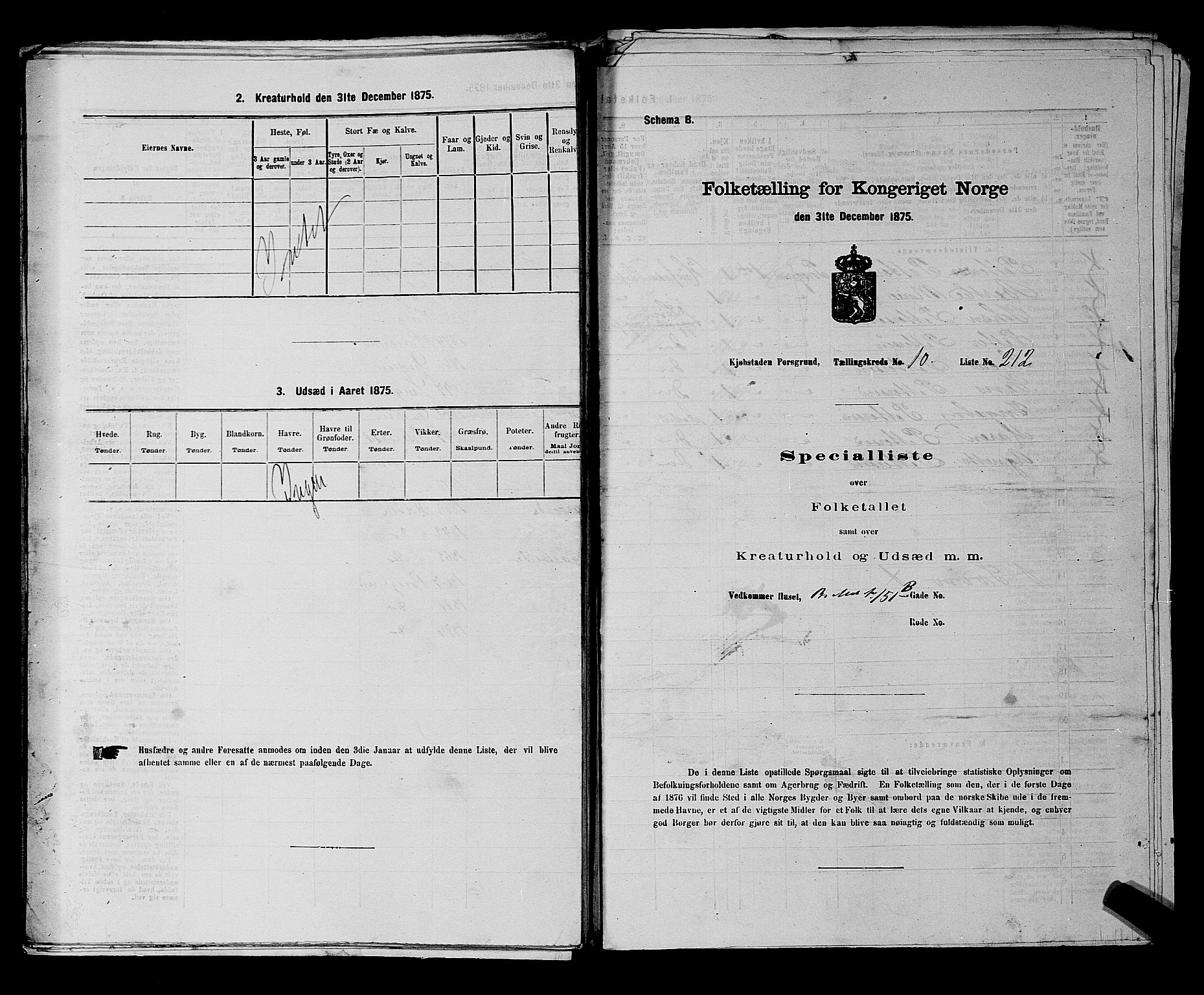 SAKO, 1875 census for 0805P Porsgrunn, 1875, p. 490