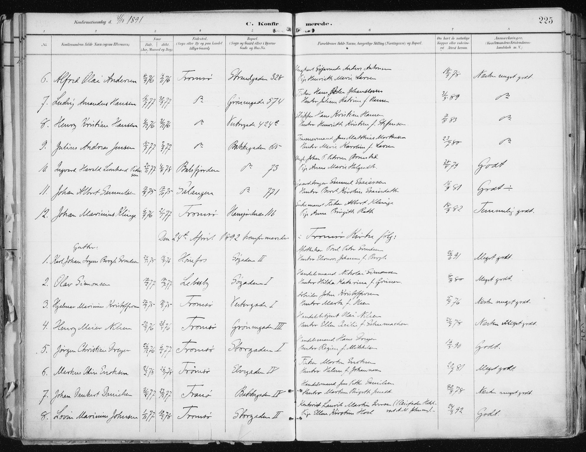 Tromsø sokneprestkontor/stiftsprosti/domprosti, AV/SATØ-S-1343/G/Ga/L0015kirke: Parish register (official) no. 15, 1889-1899, p. 225