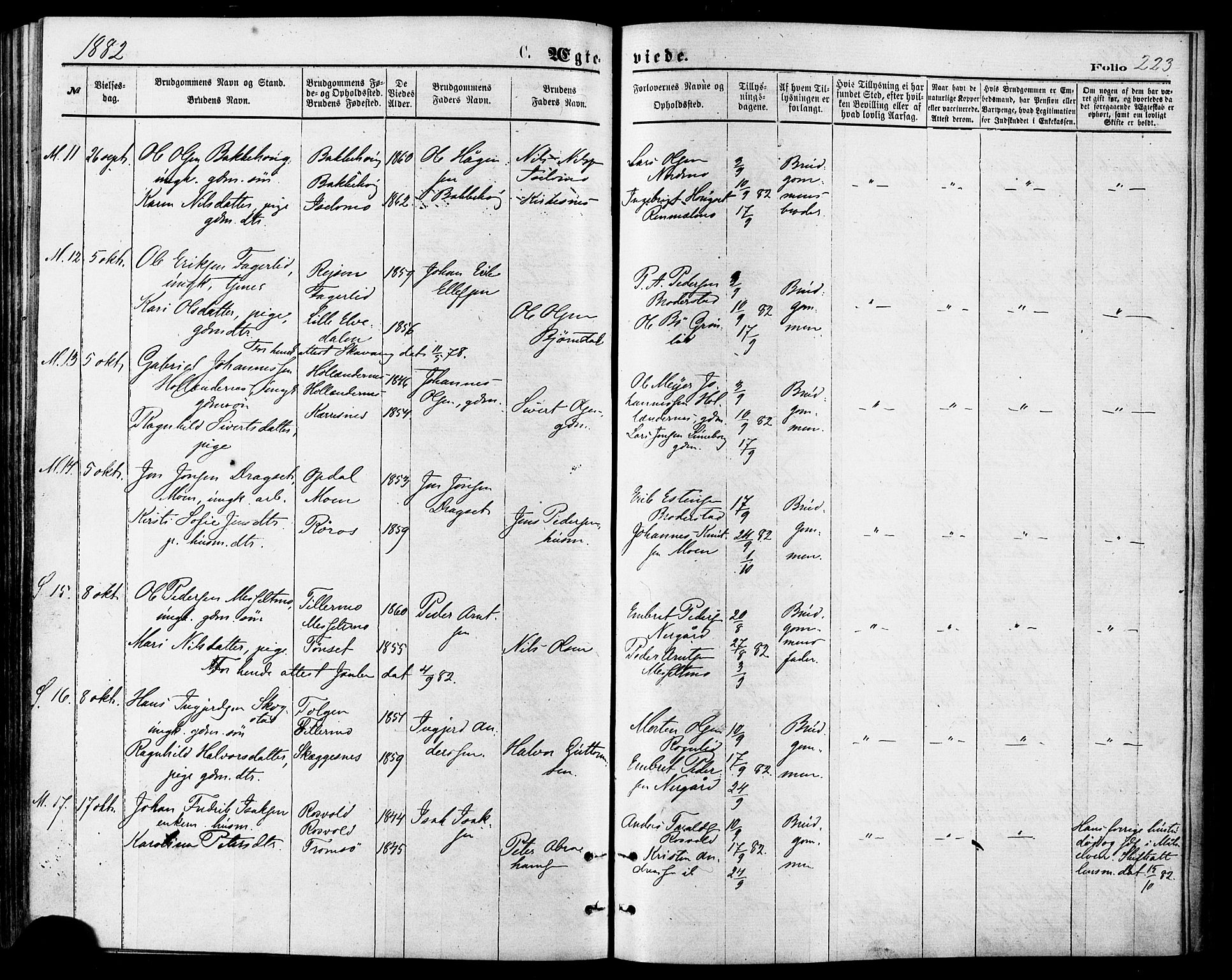 Målselv sokneprestembete, AV/SATØ-S-1311/G/Ga/Gaa/L0005kirke: Parish register (official) no. 5, 1872-1884, p. 223