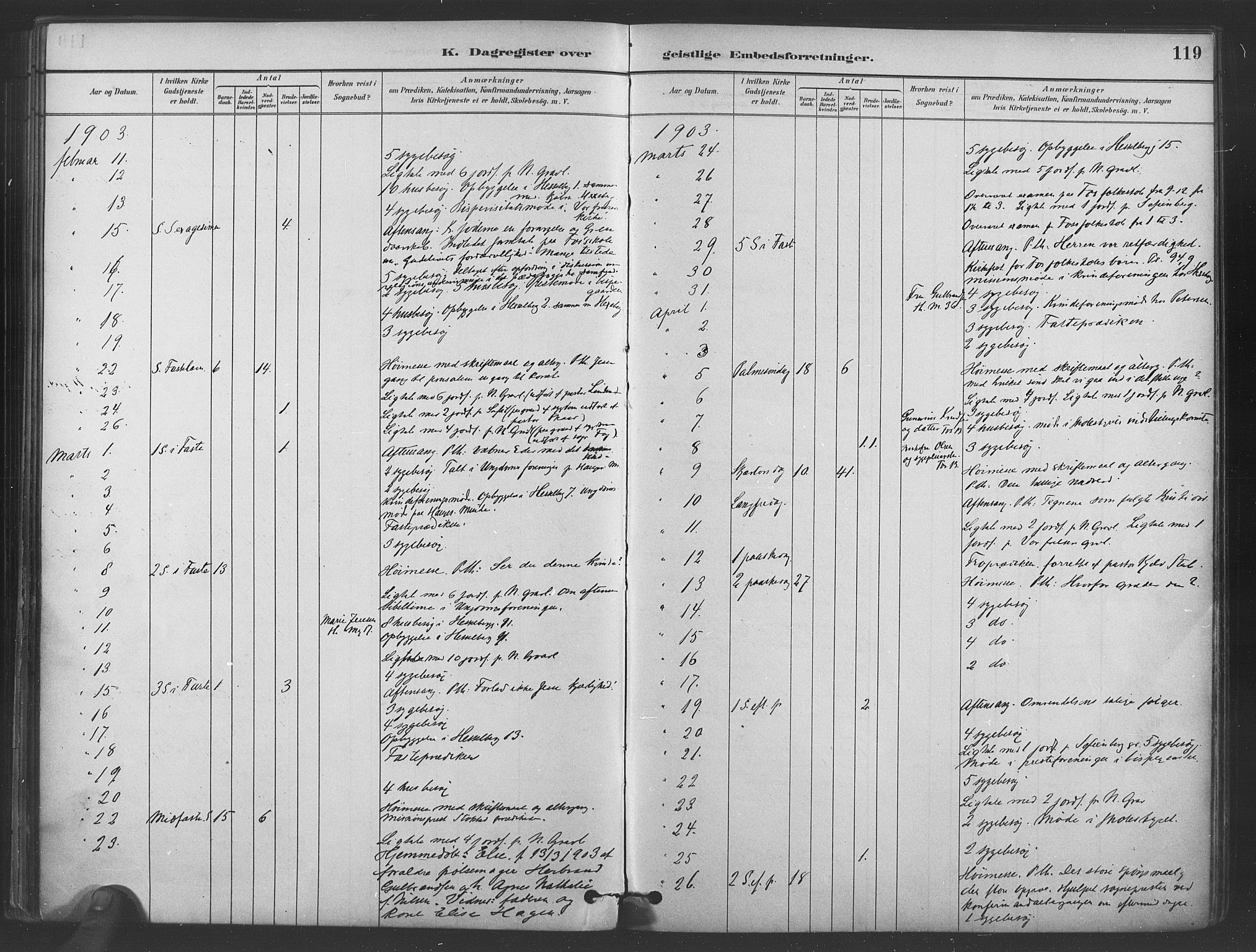 Paulus prestekontor Kirkebøker, AV/SAO-A-10871/I/Ib/L0001: Diary records no. II 1, 1882-1910, p. 119