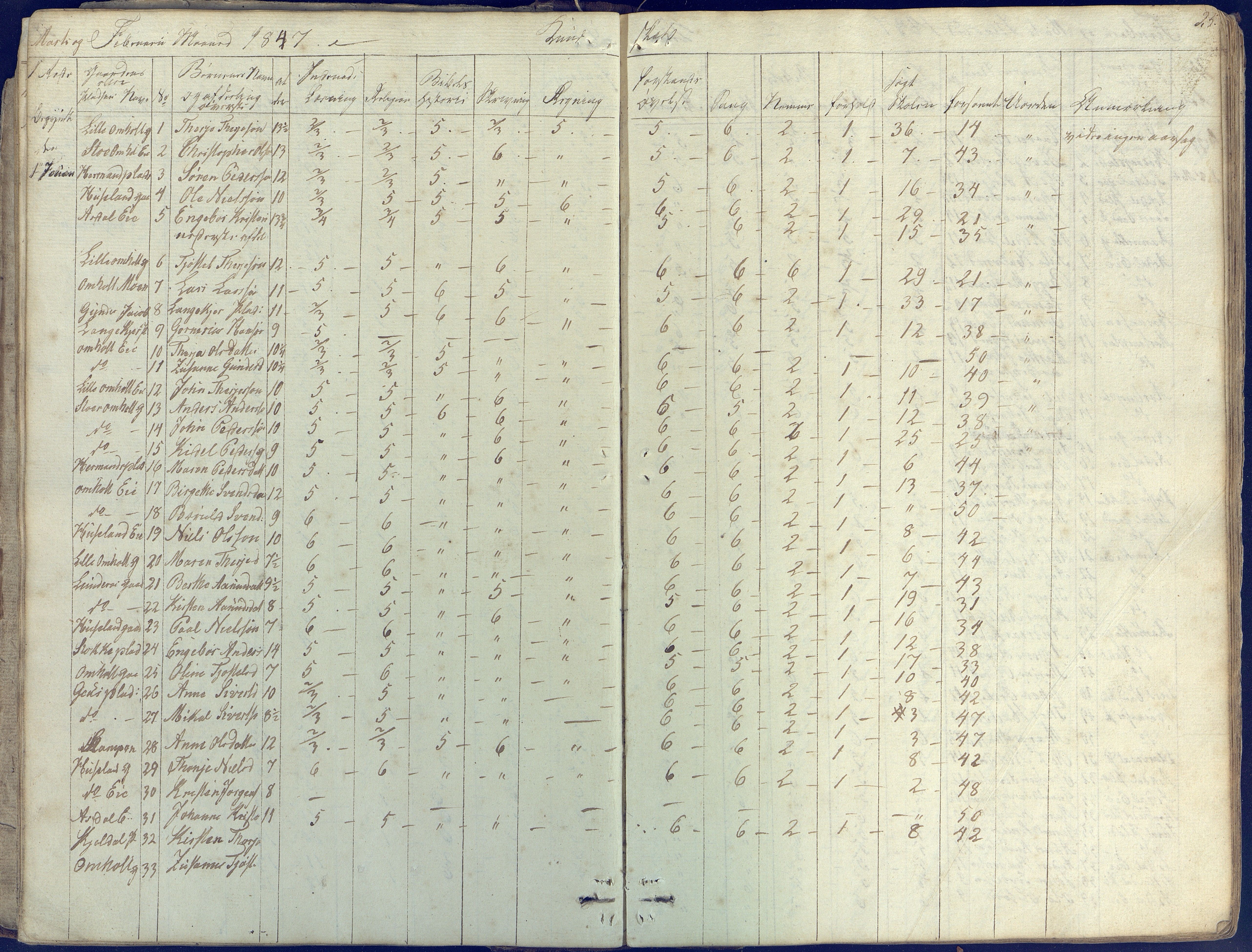 Øyestad kommune frem til 1979, AAKS/KA0920-PK/06/06E/L0001: Skolejournal, 1845-1863, p. 25