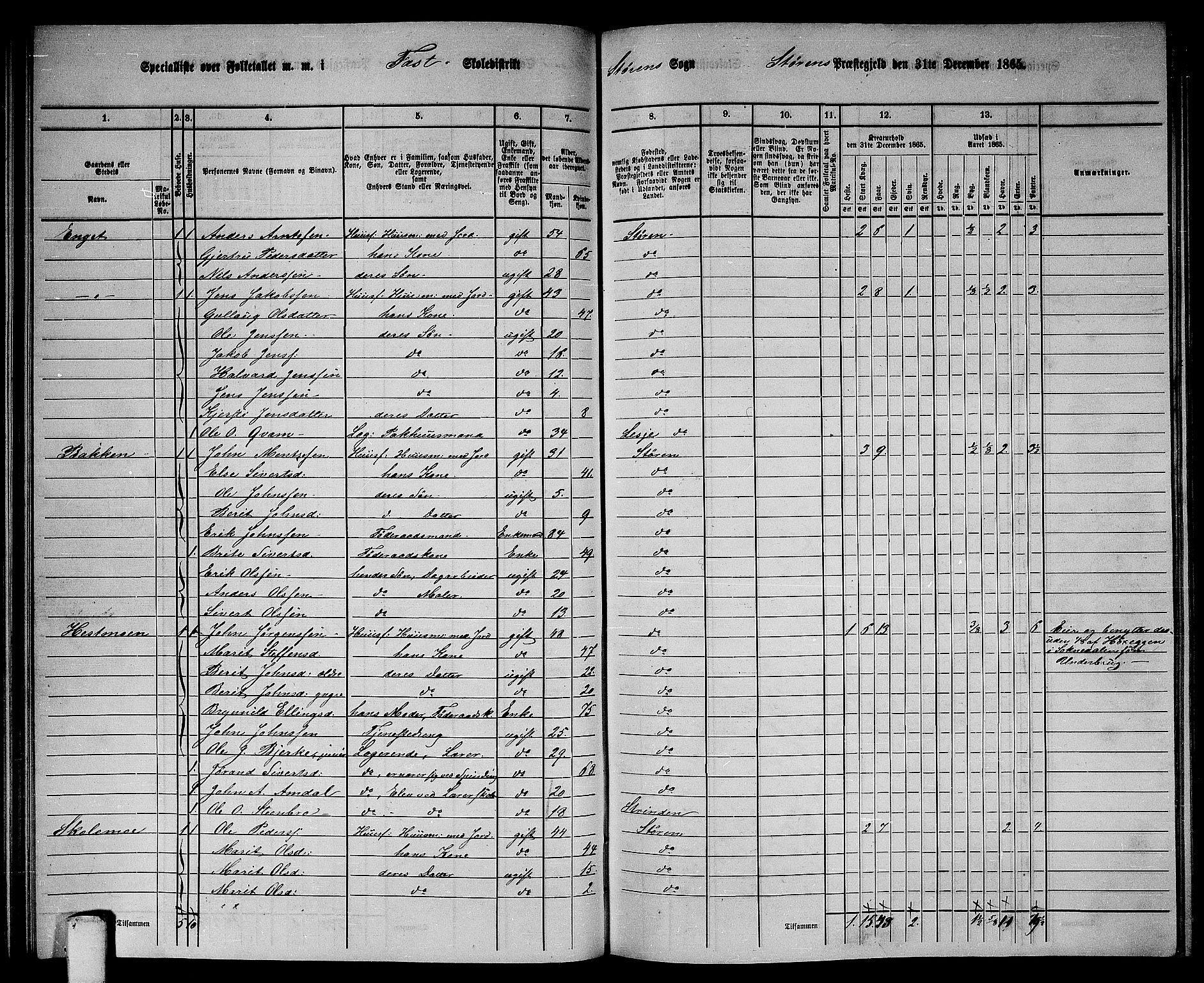 RA, 1865 census for Støren, 1865, p. 103