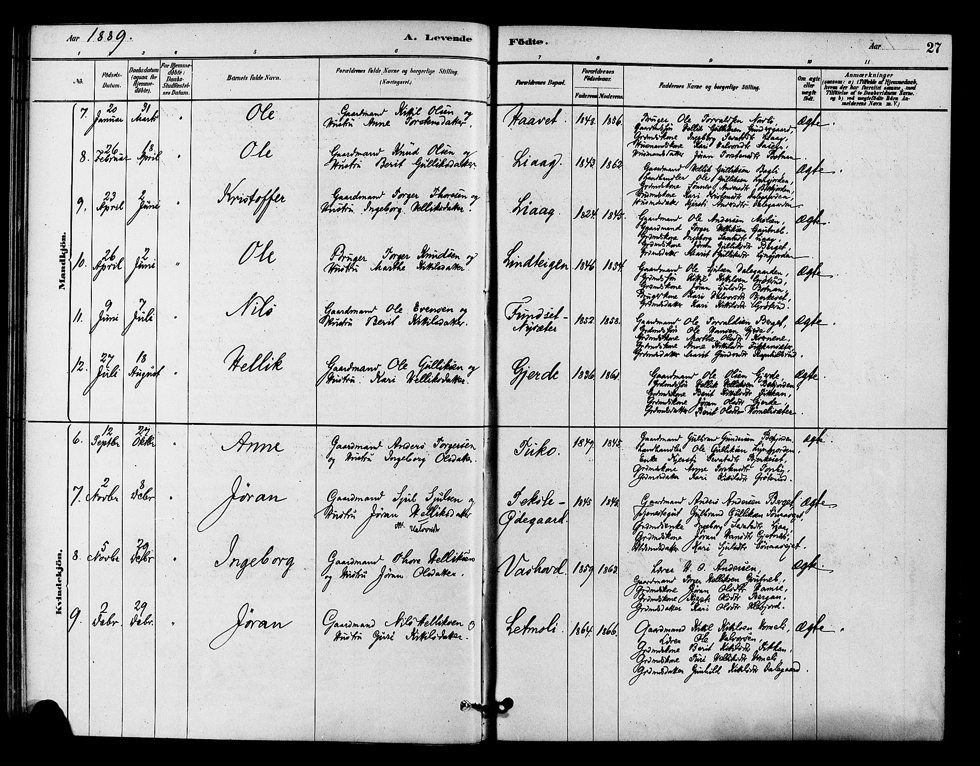 Flesberg kirkebøker, AV/SAKO-A-18/F/Fc/L0001: Parish register (official) no. III 1, 1879-1905, p. 27