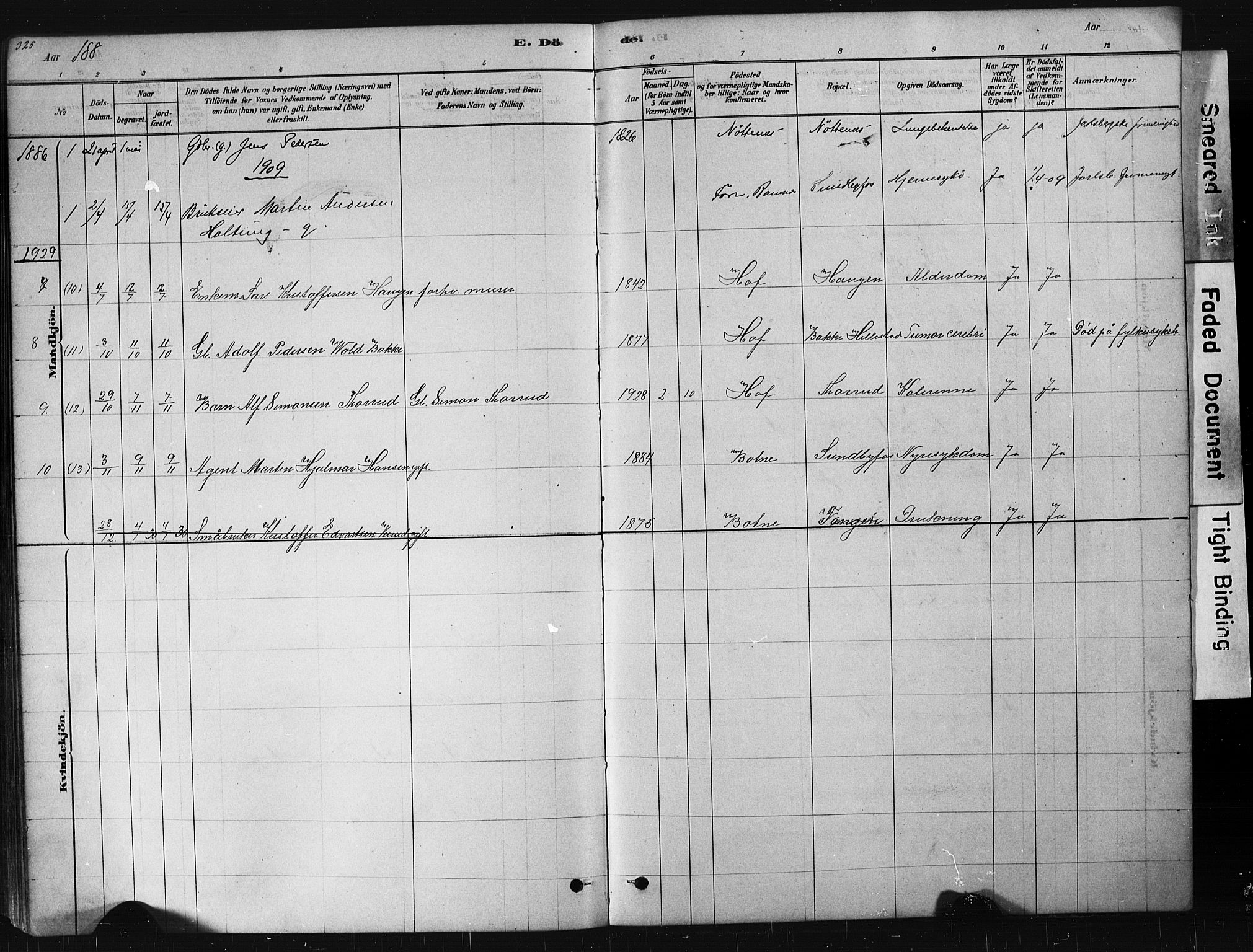 Hof kirkebøker, AV/SAKO-A-64/G/Ga/L0004: Parish register (copy) no. I 4, 1878-1930, p. 325