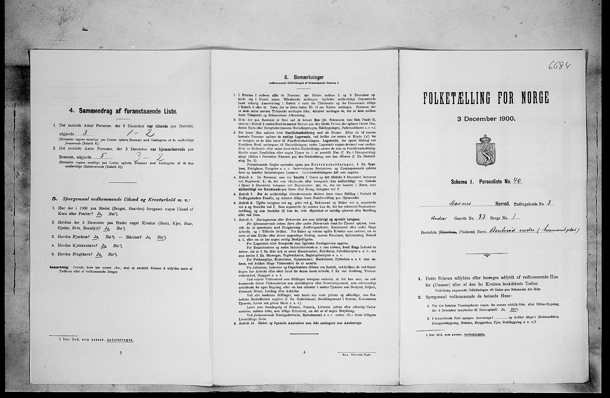 SAH, 1900 census for Åsnes, 1900, p. 498