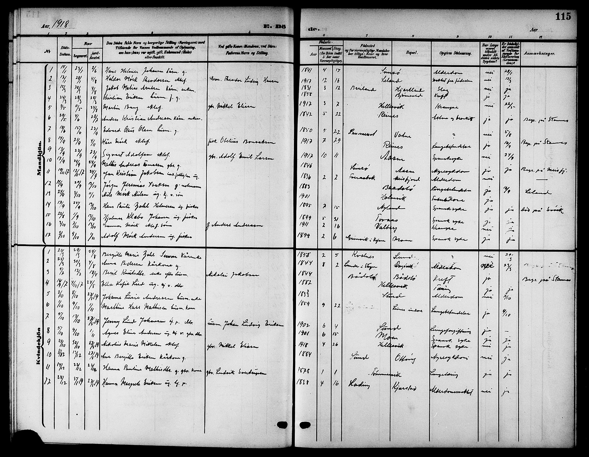 Ministerialprotokoller, klokkerbøker og fødselsregistre - Nordland, AV/SAT-A-1459/832/L0494: Parish register (copy) no. 832C01, 1906-1922, p. 115