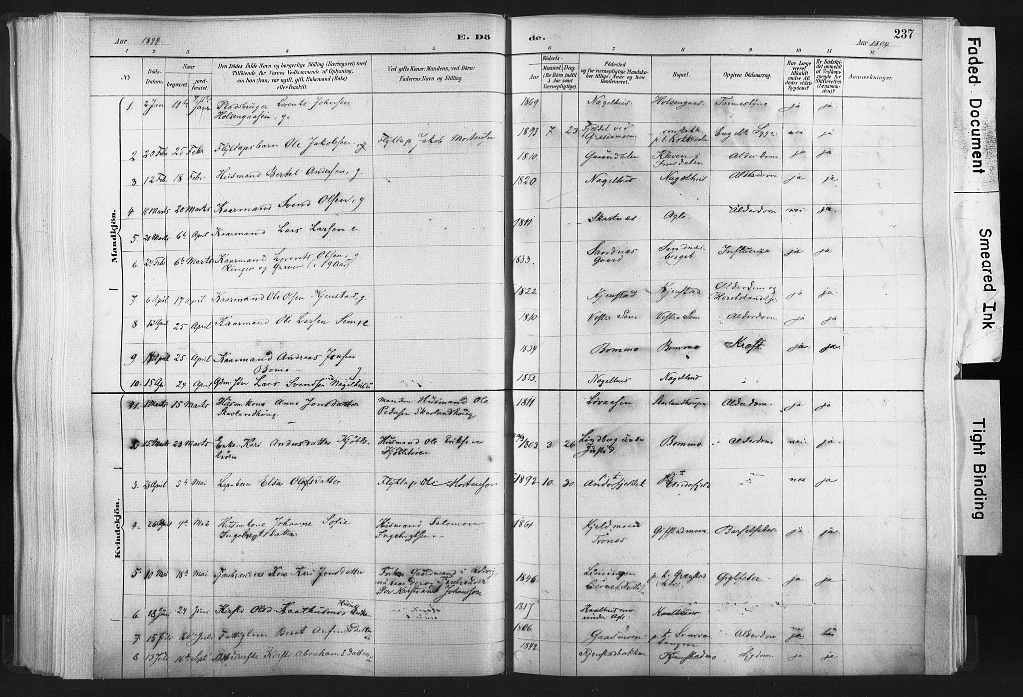 Ministerialprotokoller, klokkerbøker og fødselsregistre - Nord-Trøndelag, SAT/A-1458/749/L0474: Parish register (official) no. 749A08, 1887-1903, p. 237