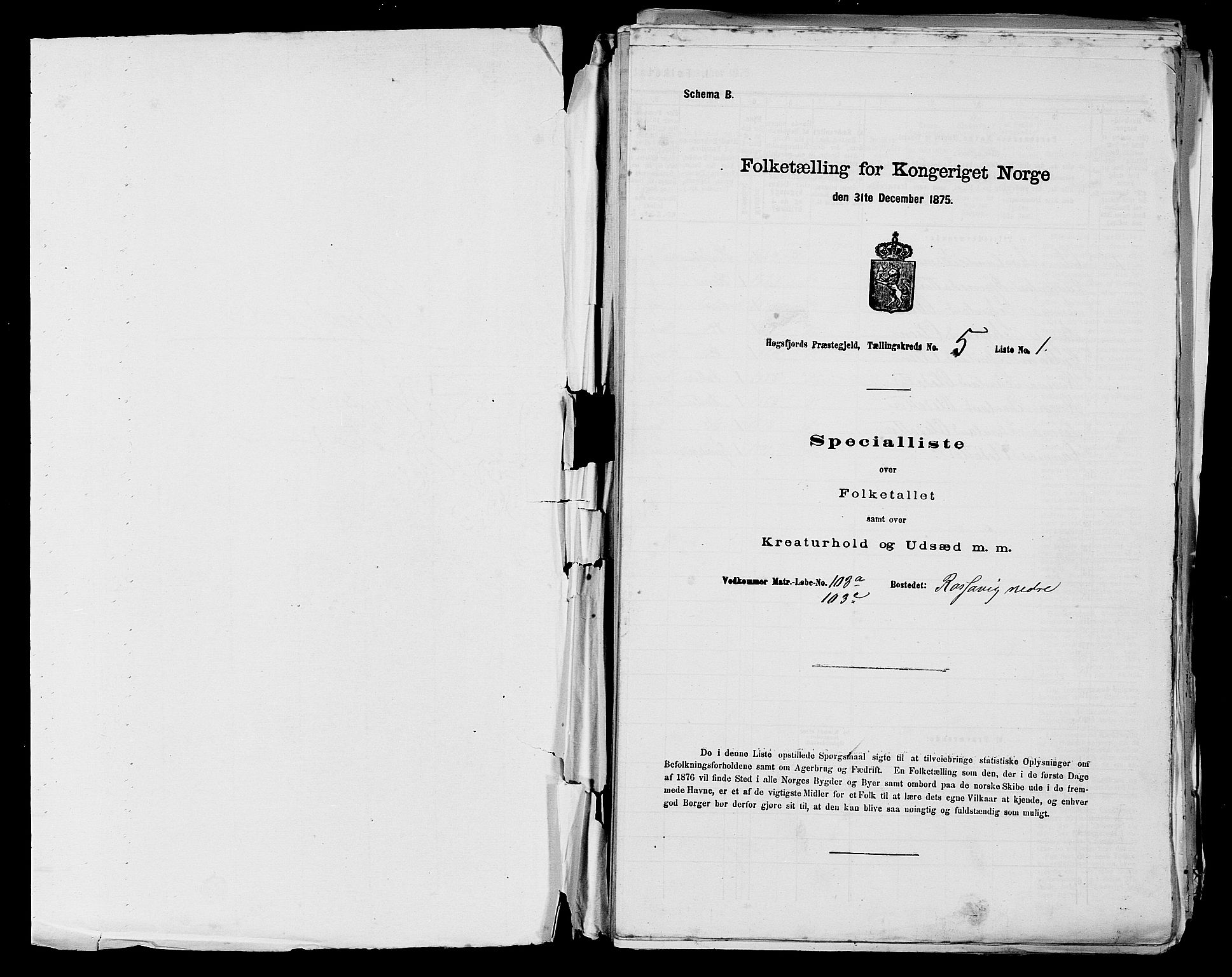 SAST, 1875 census for 1128P Høgsfjord, 1875, p. 423