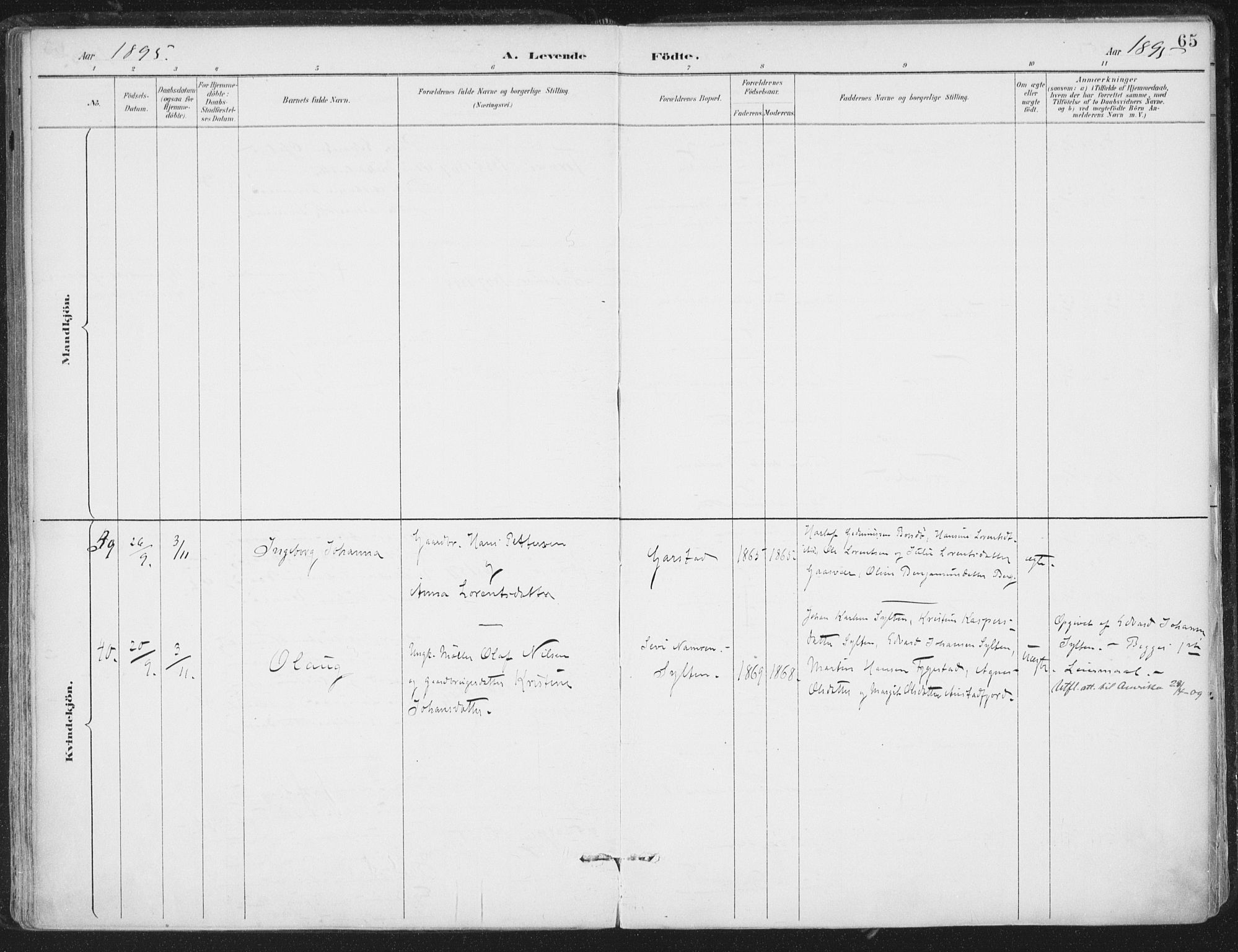 Ministerialprotokoller, klokkerbøker og fødselsregistre - Nord-Trøndelag, SAT/A-1458/786/L0687: Parish register (official) no. 786A03, 1888-1898, p. 65