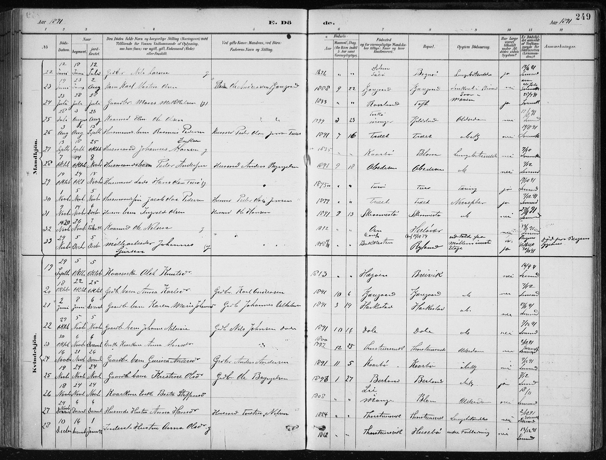 Herdla Sokneprestembete, SAB/A-75701/H/Haa: Parish register (official) no. A 4, 1891-1905, p. 249