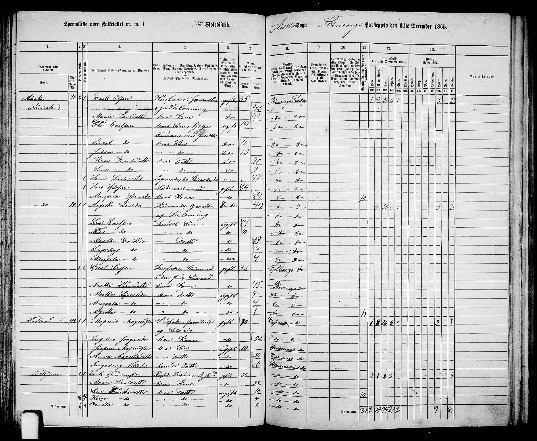 RA, 1865 census for Skånevik, 1865, p. 104