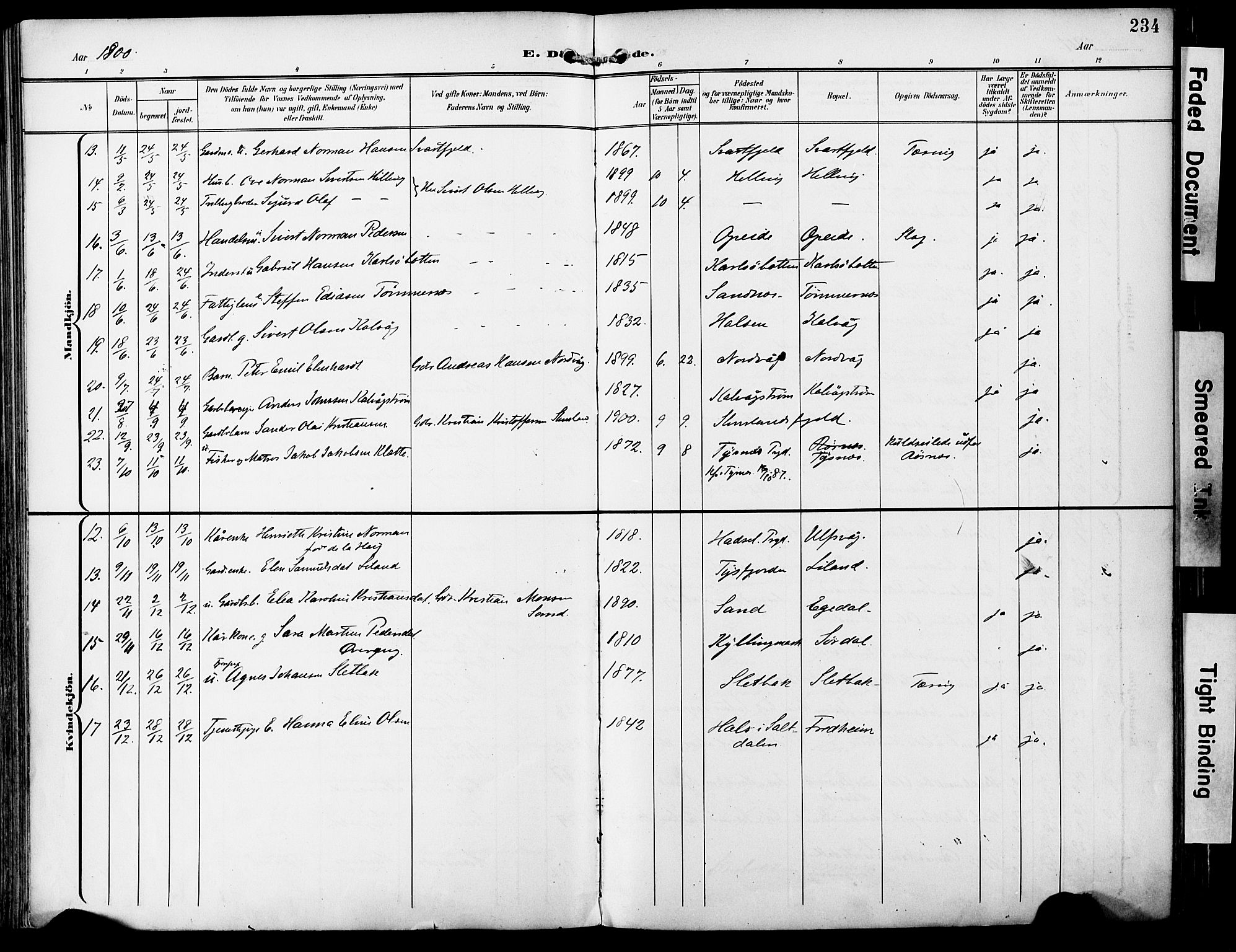 Ministerialprotokoller, klokkerbøker og fødselsregistre - Nordland, AV/SAT-A-1459/859/L0848: Parish register (official) no. 859A08, 1900-1912, p. 234