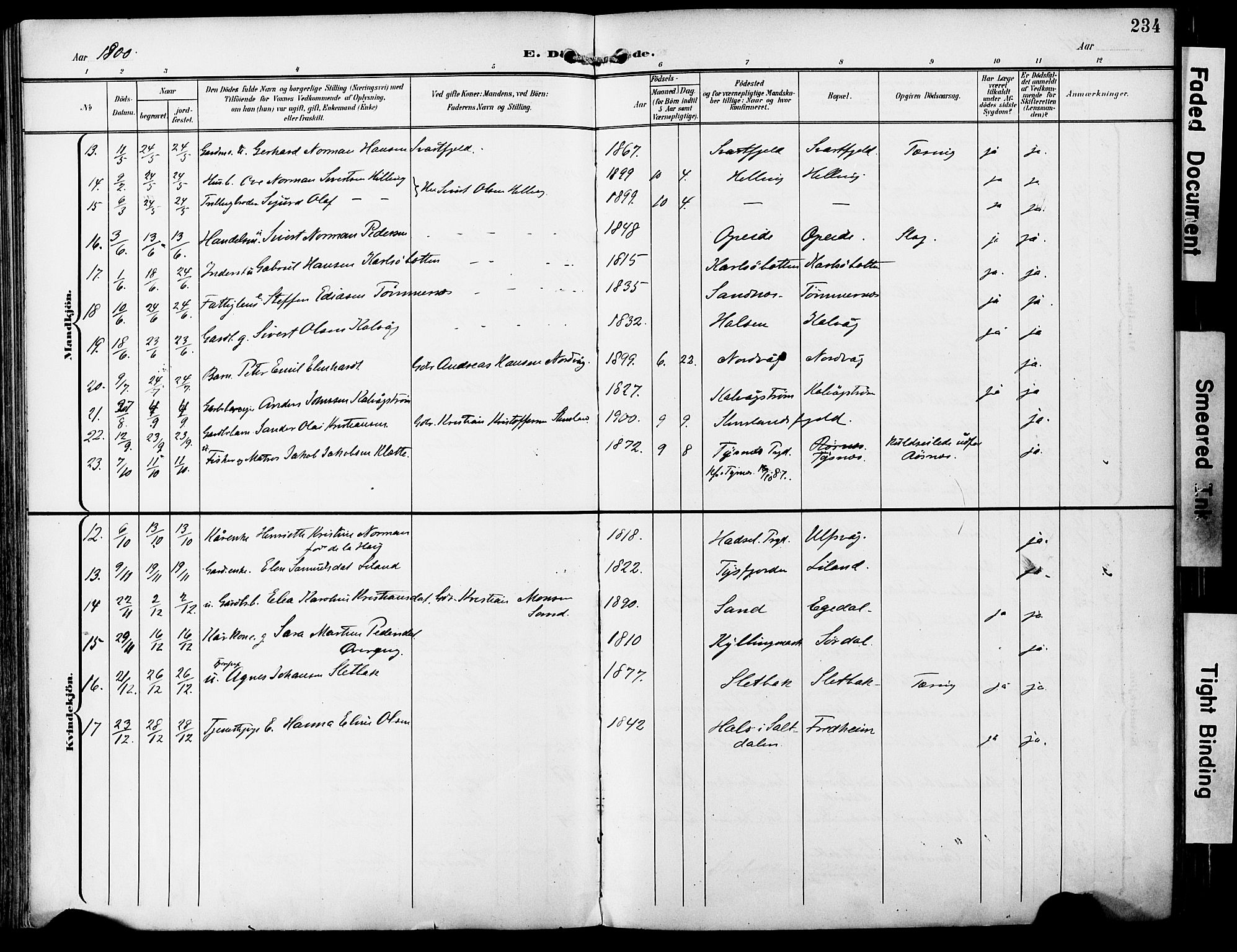 Ministerialprotokoller, klokkerbøker og fødselsregistre - Nordland, AV/SAT-A-1459/859/L0848: Parish register (official) no. 859A08, 1900-1912, p. 234