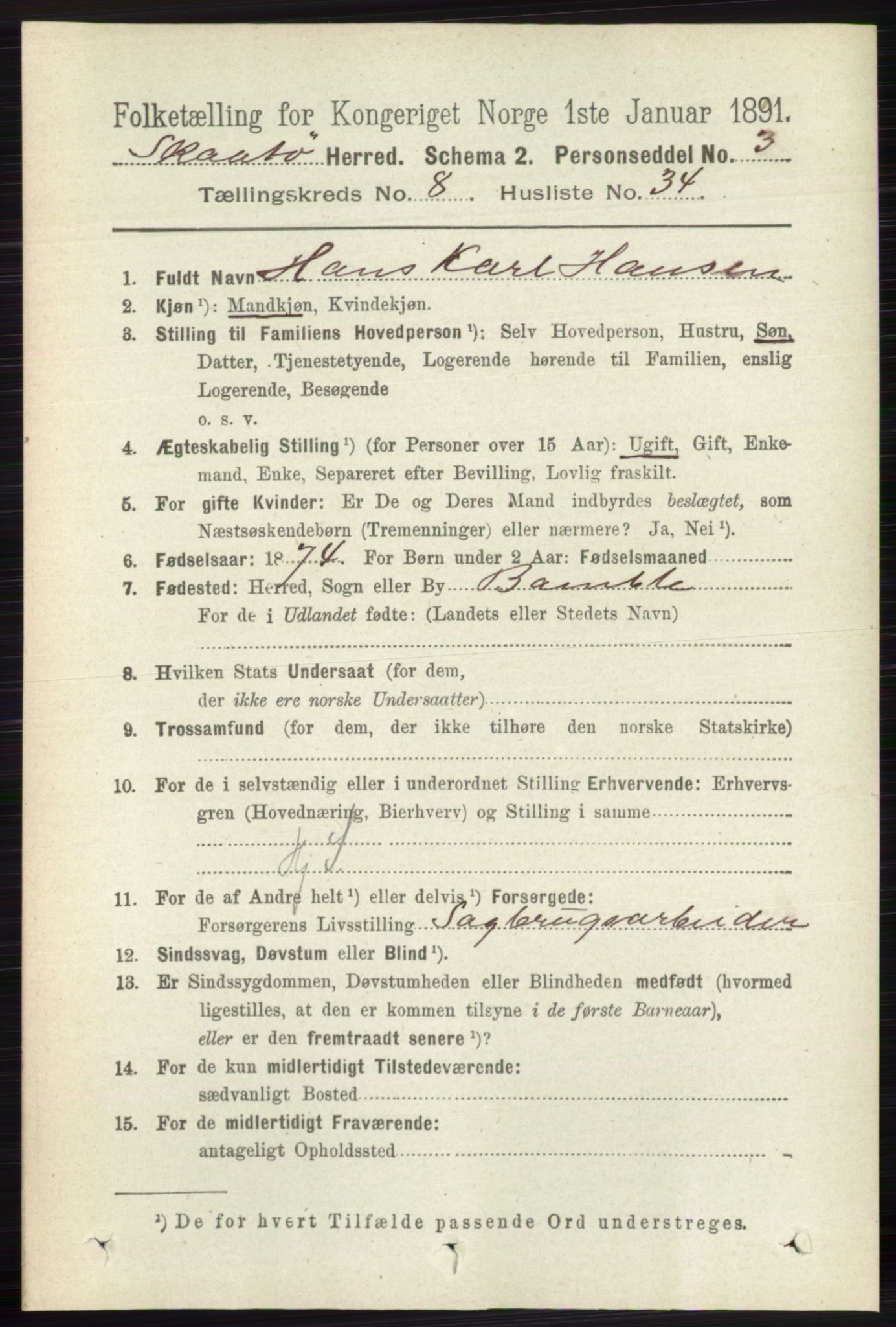 RA, 1891 census for 0815 Skåtøy, 1891, p. 3699