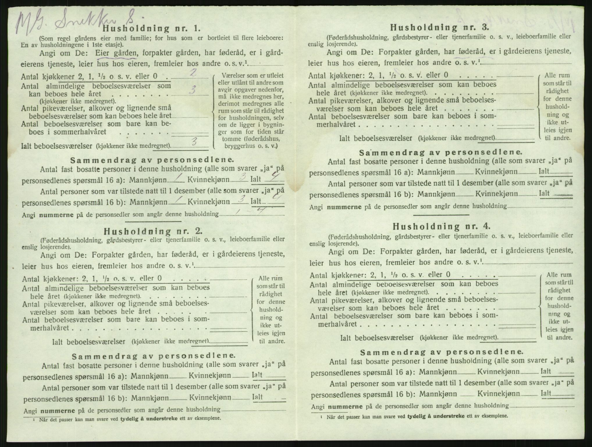 SAKO, 1920 census for Brunlanes, 1920, p. 1204