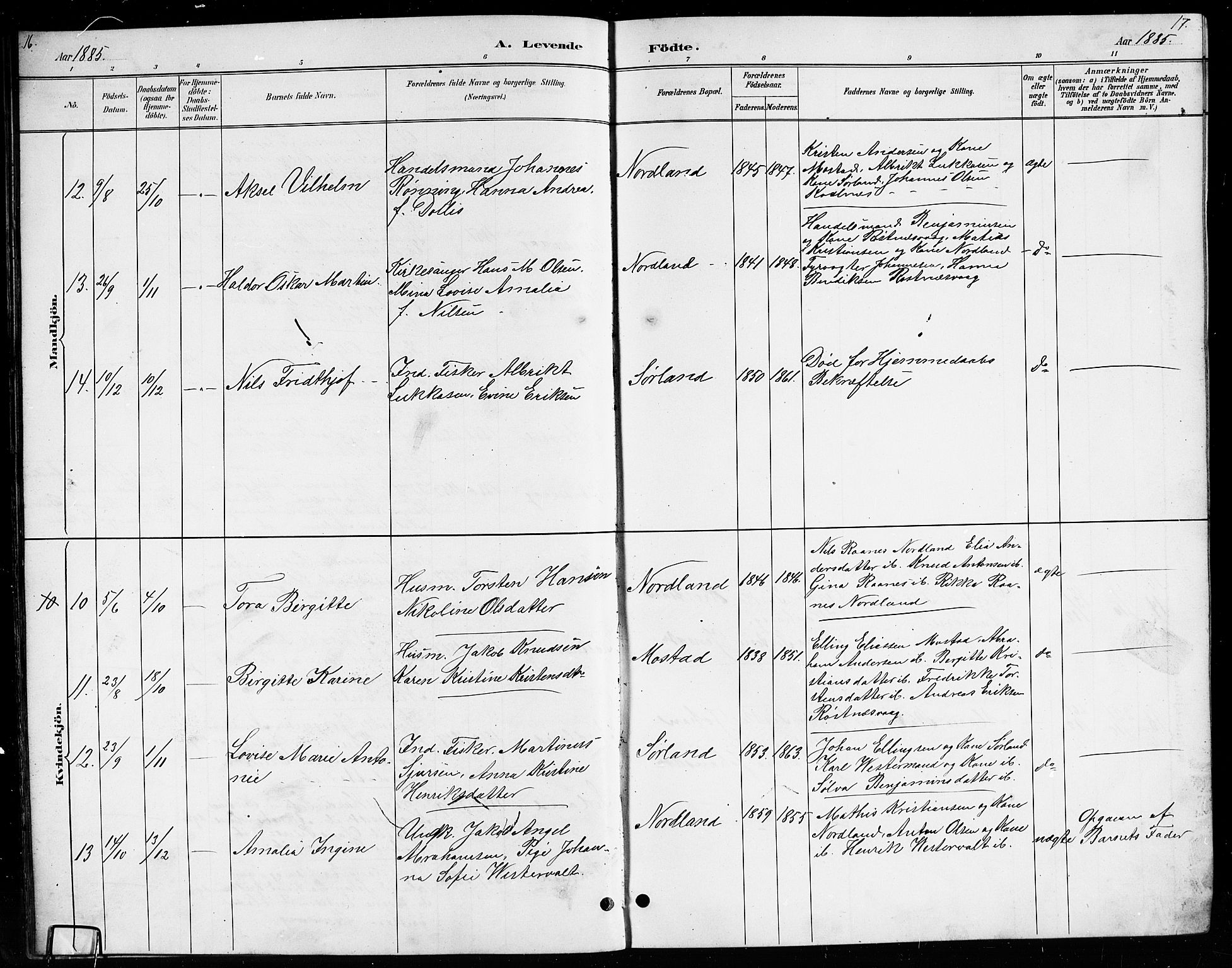 Ministerialprotokoller, klokkerbøker og fødselsregistre - Nordland, AV/SAT-A-1459/807/L0123: Parish register (copy) no. 807C01, 1884-1910, p. 16-17