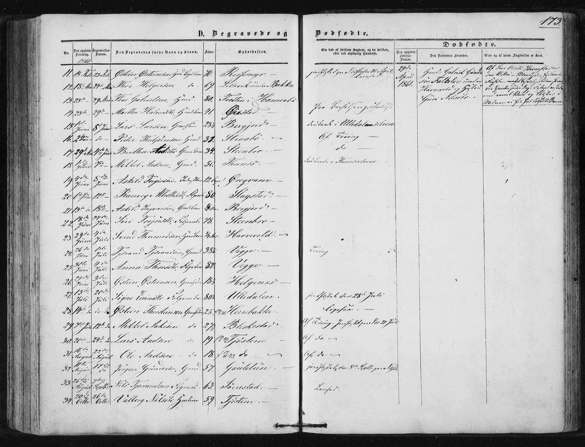 Suldal sokneprestkontor, SAST/A-101845/01/IV/L0009: Parish register (official) no. A 9, 1854-1868, p. 173