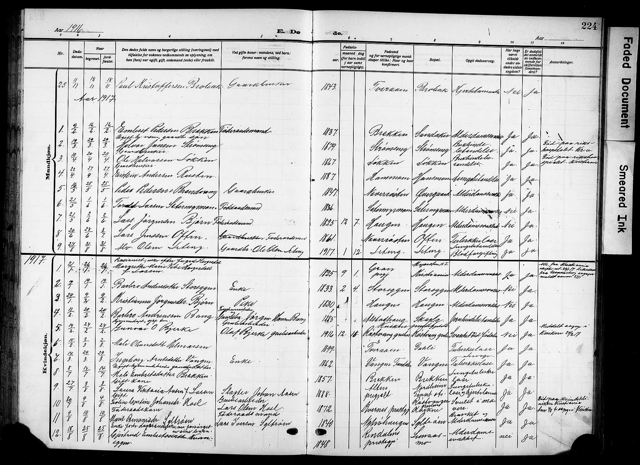 Tynset prestekontor, AV/SAH-PREST-058/H/Ha/Hab/L0011: Parish register (copy) no. 11, 1915-1930, p. 224