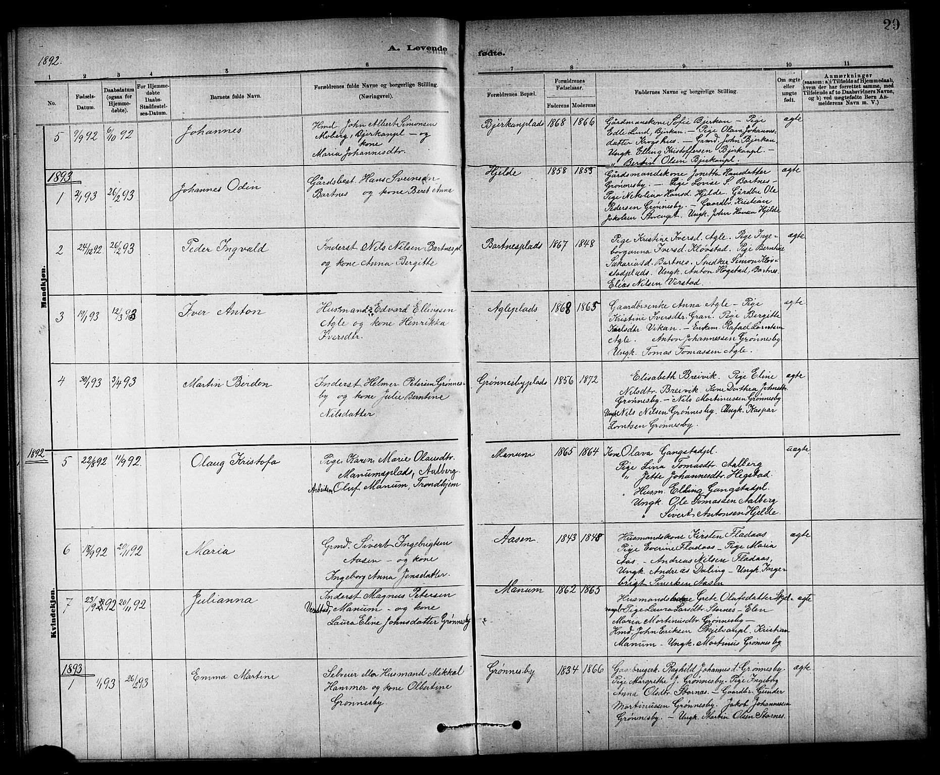 Ministerialprotokoller, klokkerbøker og fødselsregistre - Nord-Trøndelag, SAT/A-1458/732/L0318: Parish register (copy) no. 732C02, 1881-1911, p. 29
