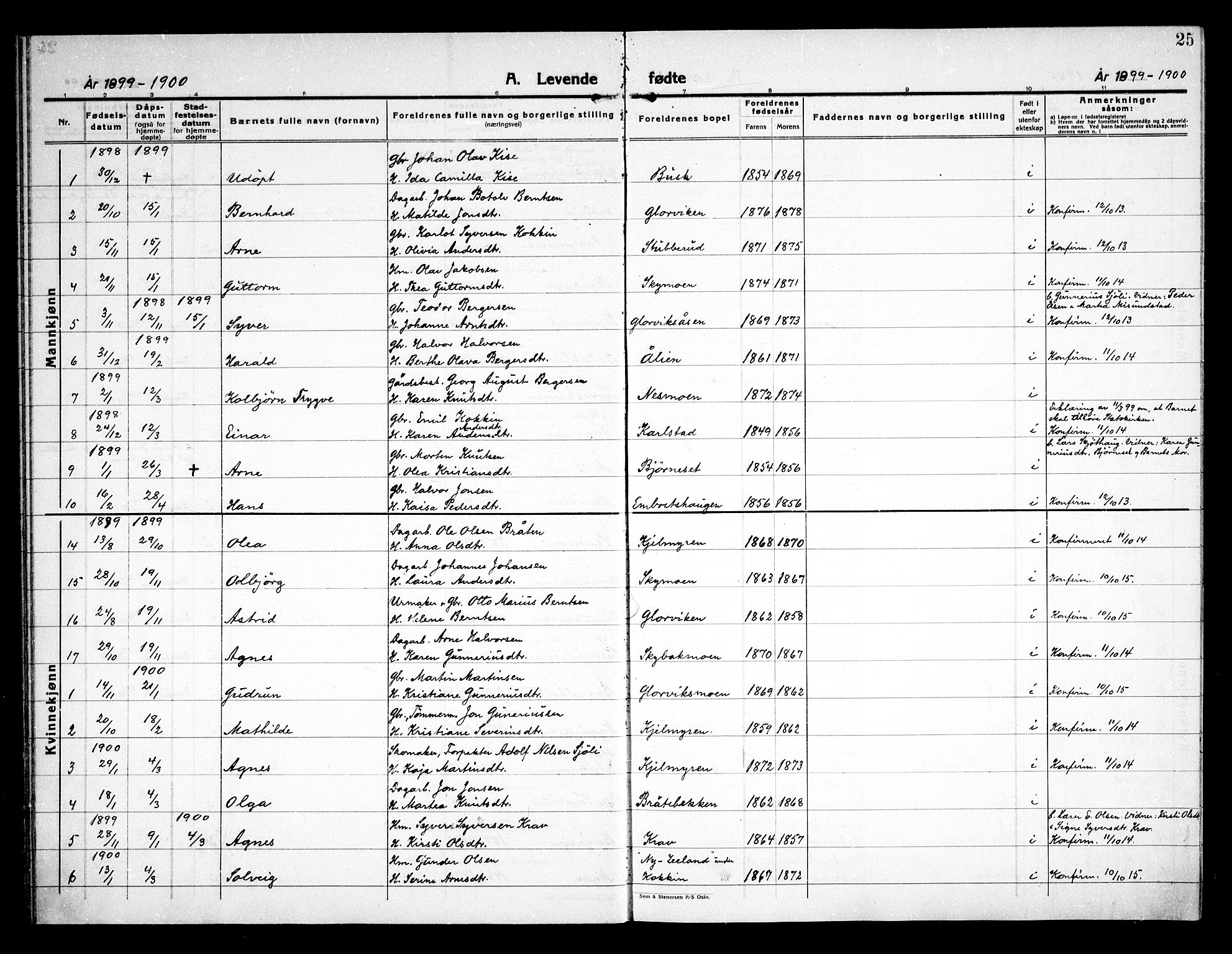 Åsnes prestekontor, SAH/PREST-042/H/Ha/Haa/L0000D: Parish register (official) no. 0B, 1890-1929, p. 25