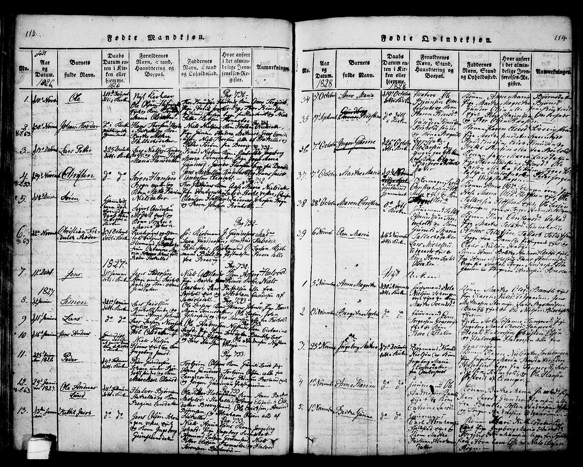 Bamble kirkebøker, SAKO/A-253/F/Fa/L0003: Parish register (official) no. I 3 /1, 1814-1834, p. 113-114