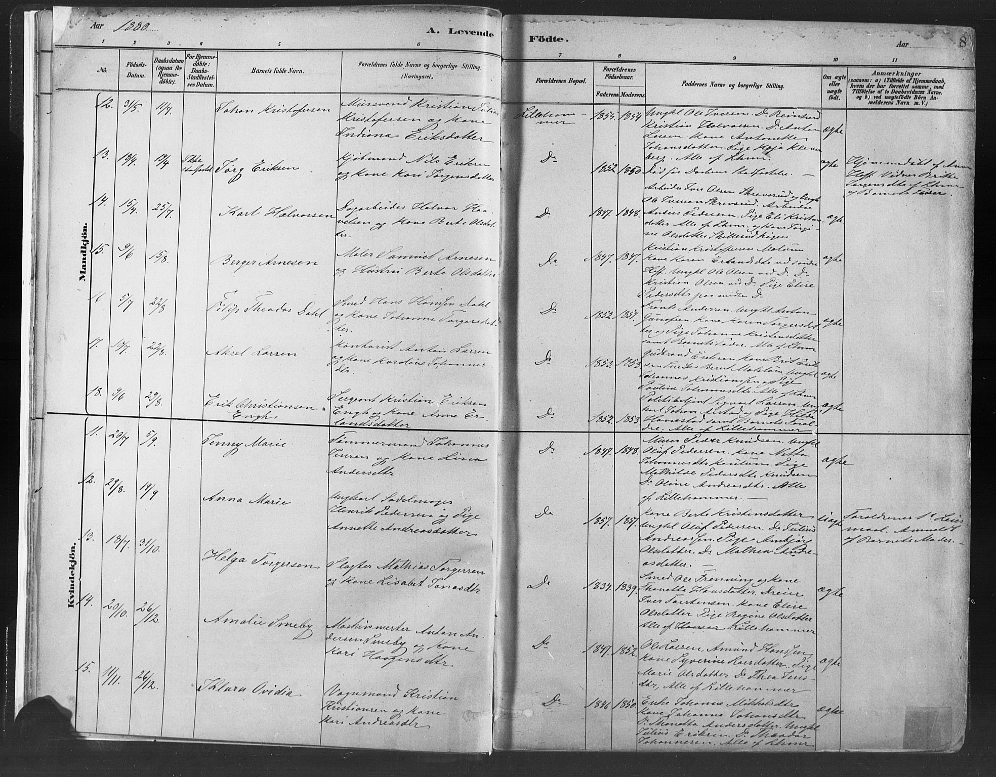Fåberg prestekontor, SAH/PREST-086/H/Ha/Haa/L0010: Parish register (official) no. 10, 1879-1900, p. 8